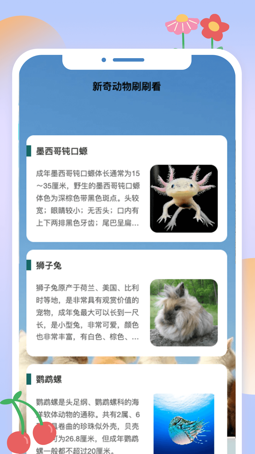 精彩截图-动物刷刷2025官方新版