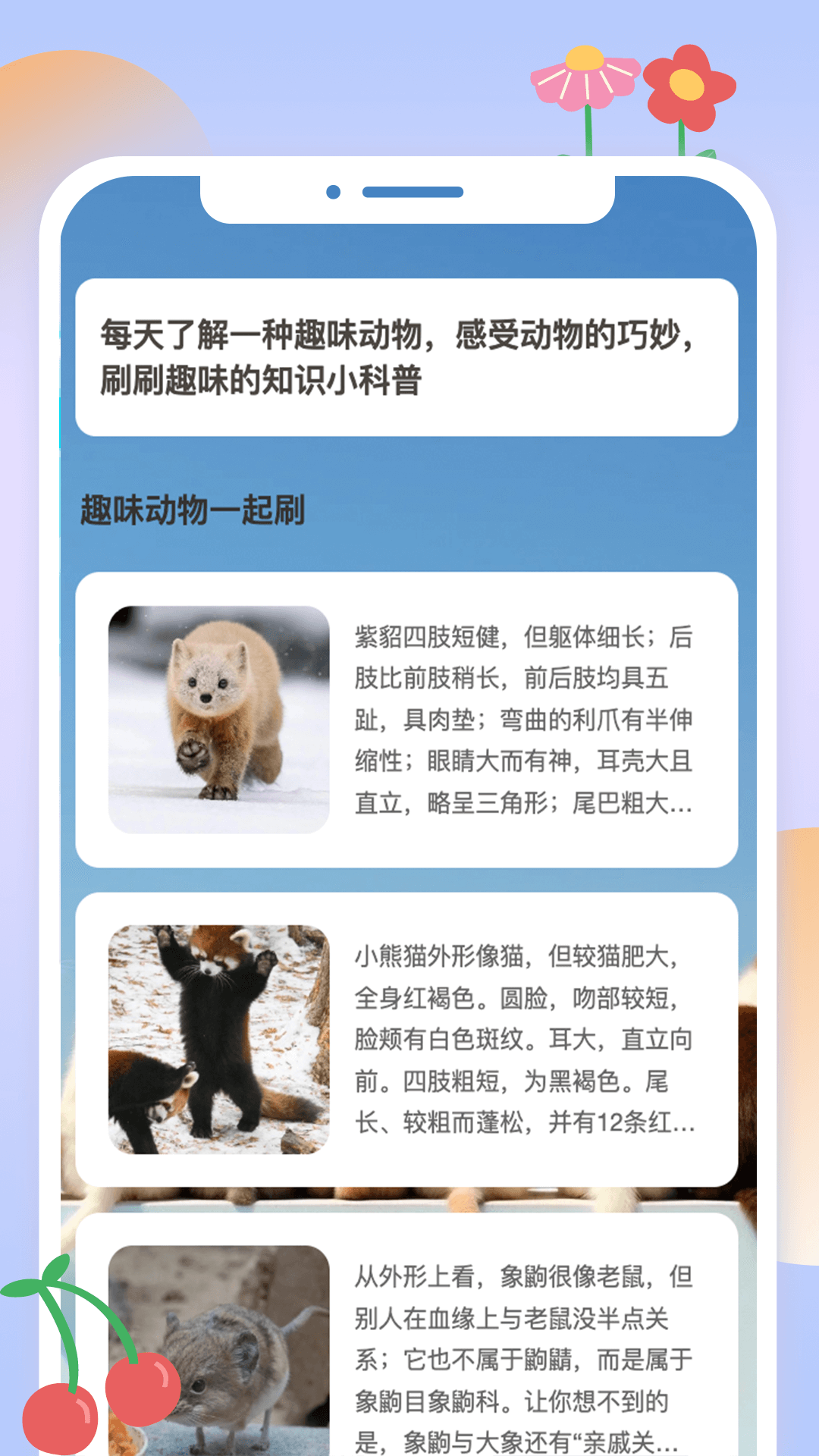 精彩截图-动物刷刷2025官方新版