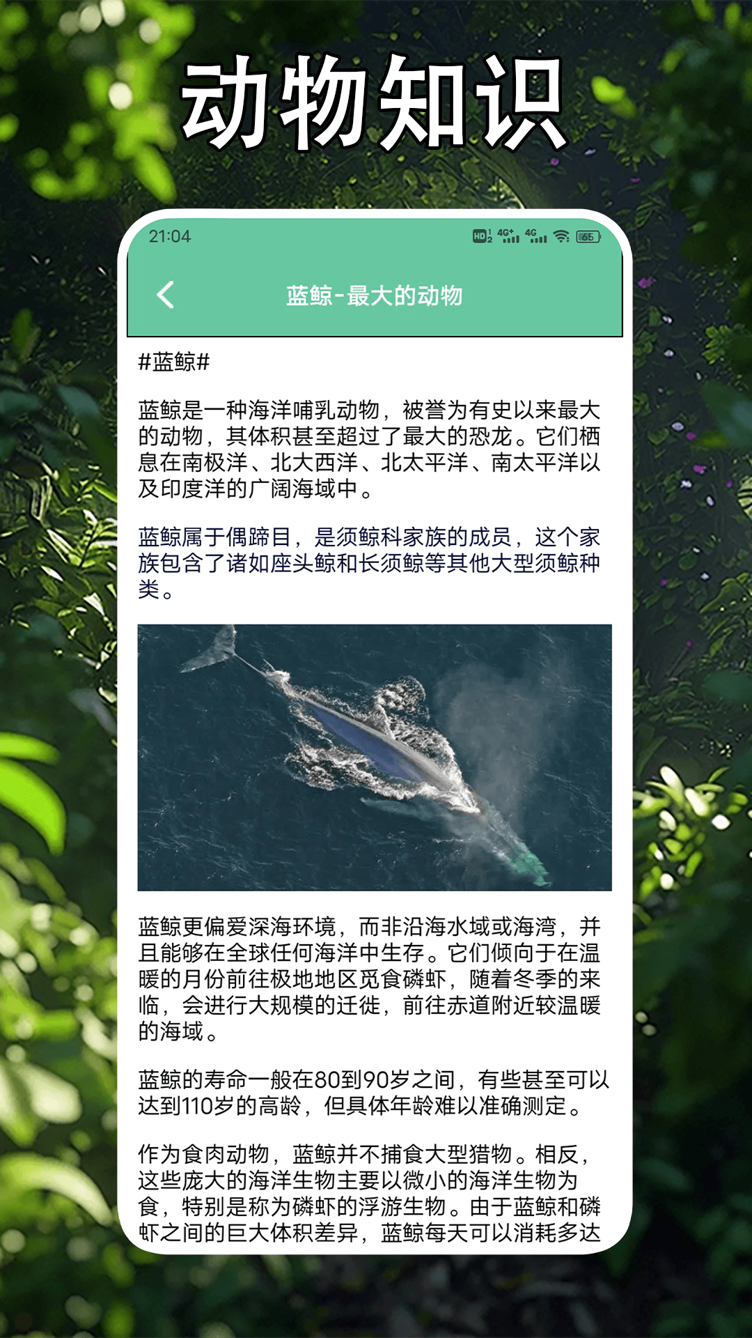 精彩截图-畸形动物园2025官方新版