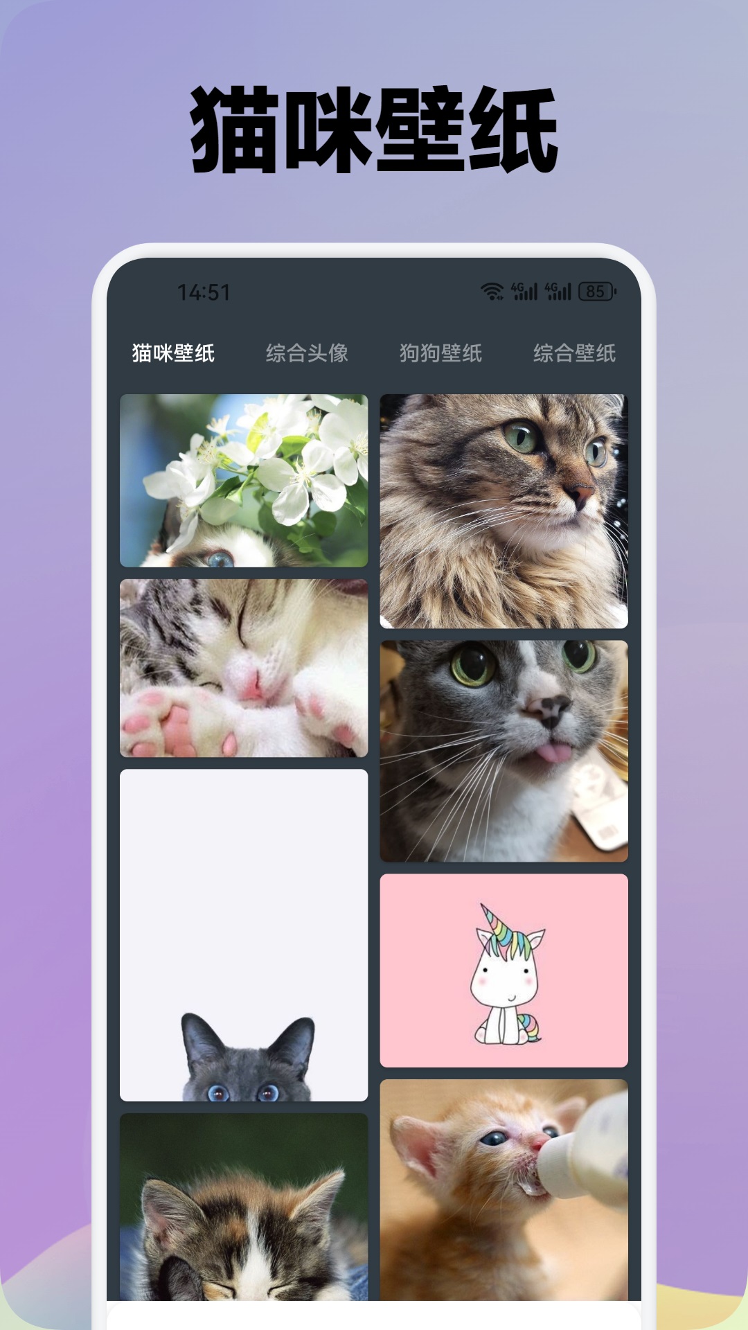 我家猫舍 截图 3