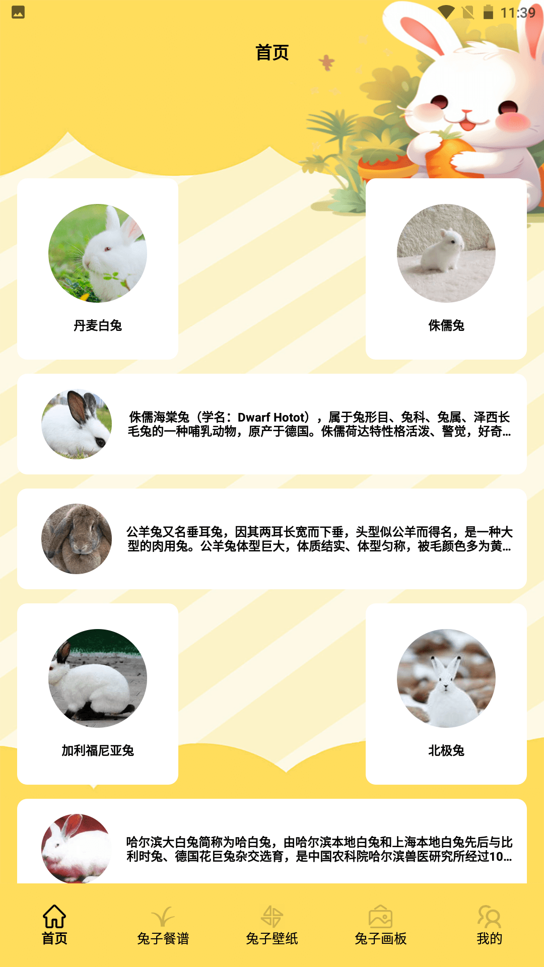 精彩截图-兔兔岛2025官方新版
