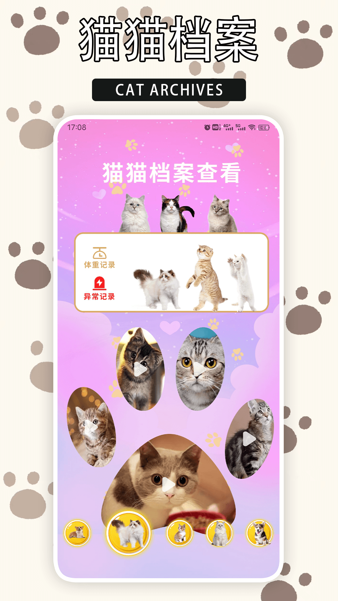 精彩截图-爱游猫2025官方新版