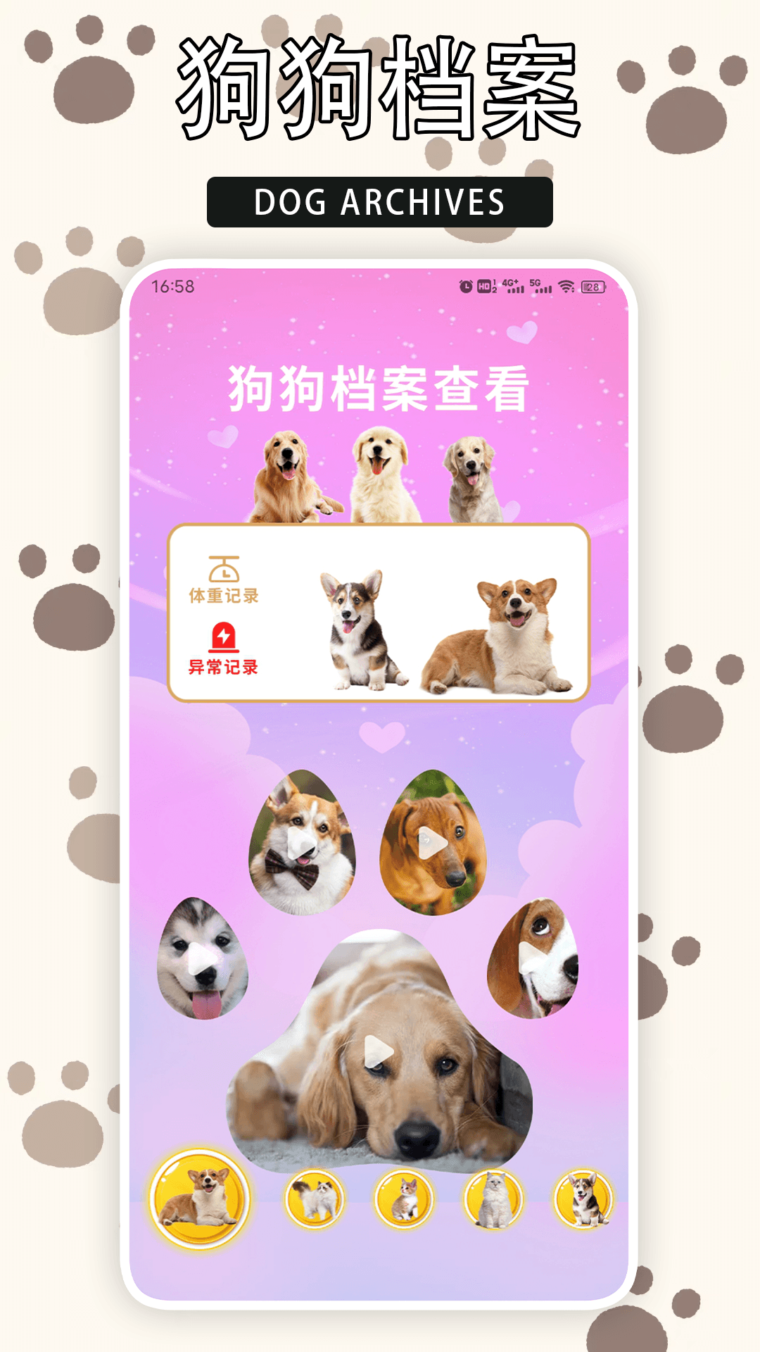 精彩截图-爱游猫2025官方新版