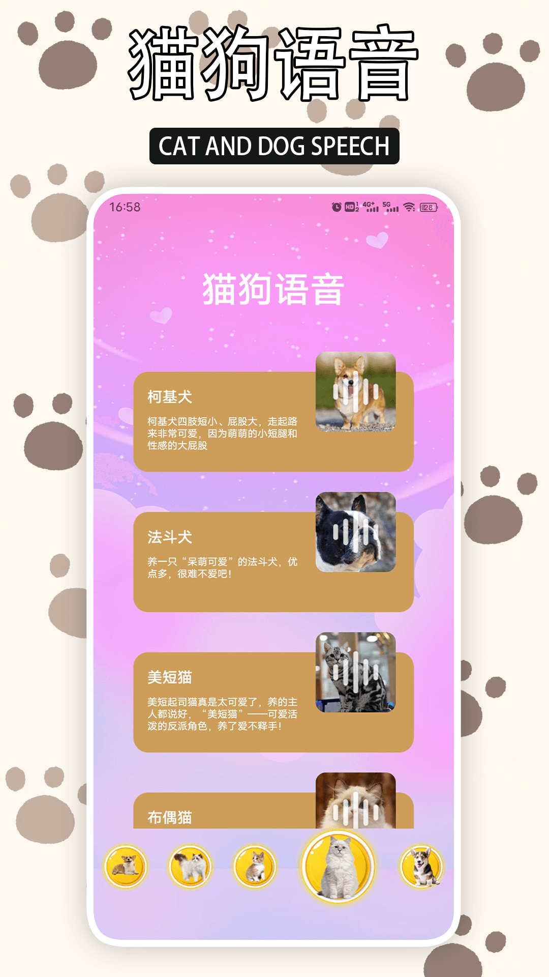 精彩截图-爱游猫2025官方新版