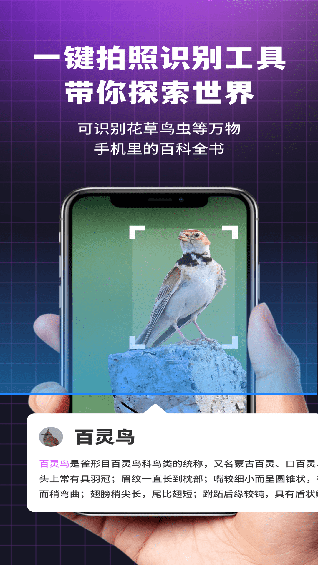 精彩截图-i浏览器无痕版2025官方新版