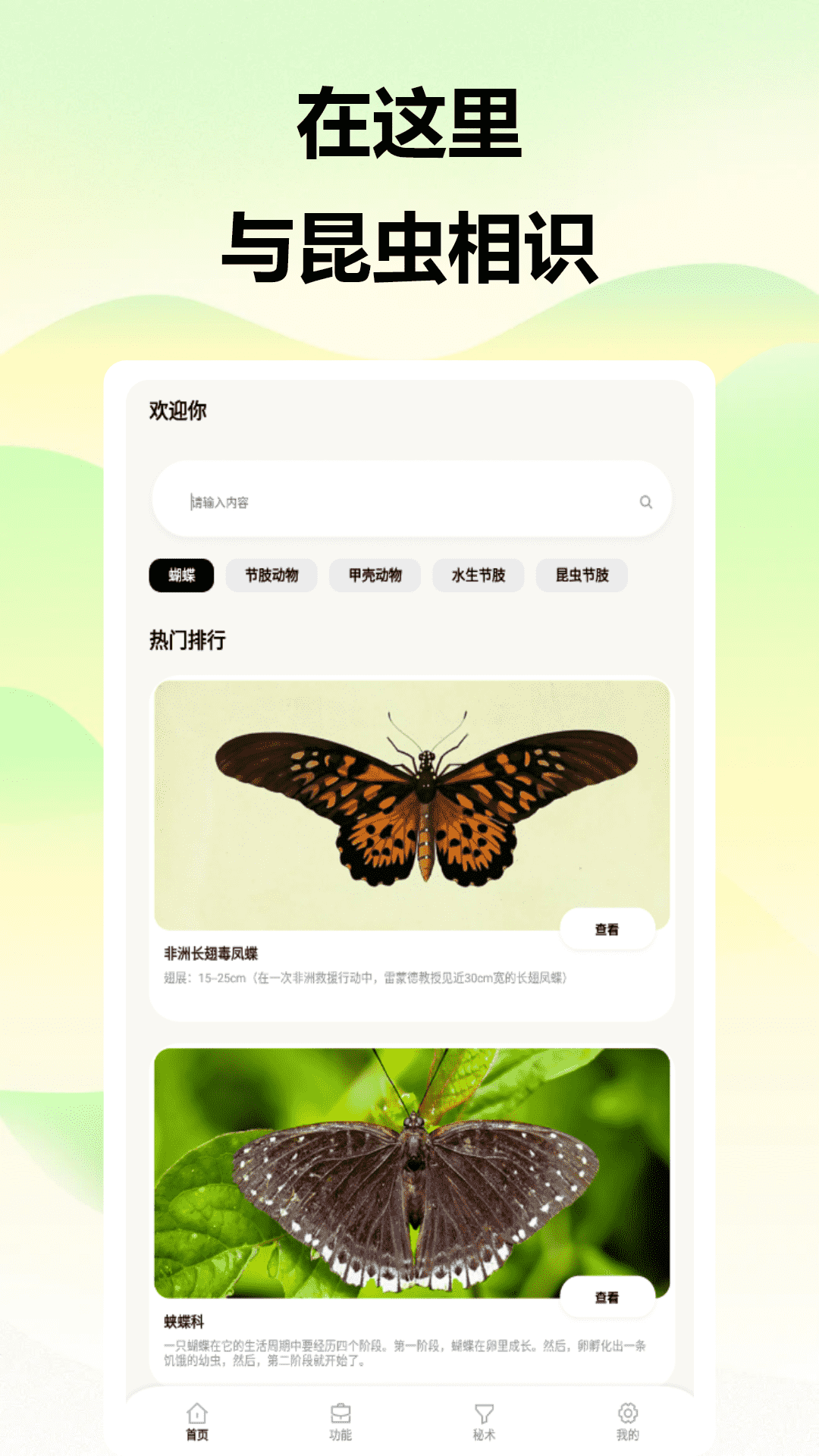 甲壳虫安卓版高清截图