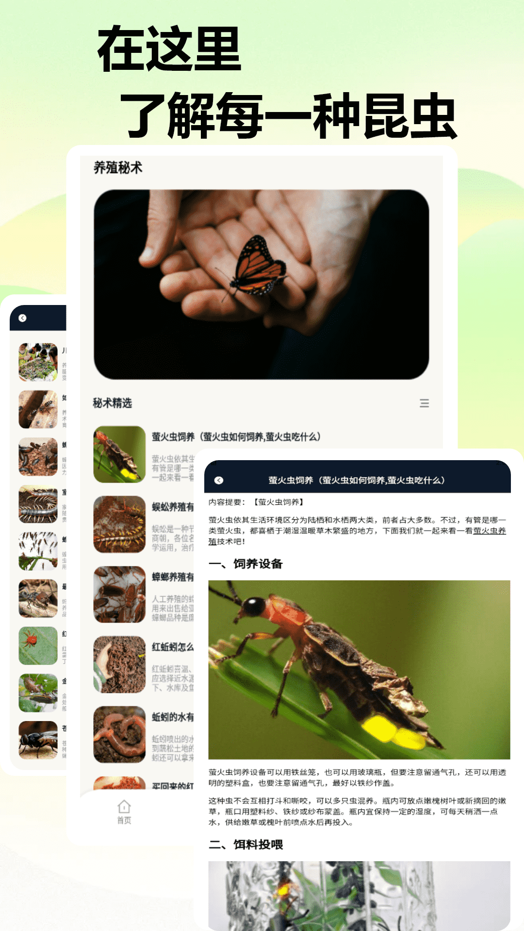 甲壳虫安卓版高清截图