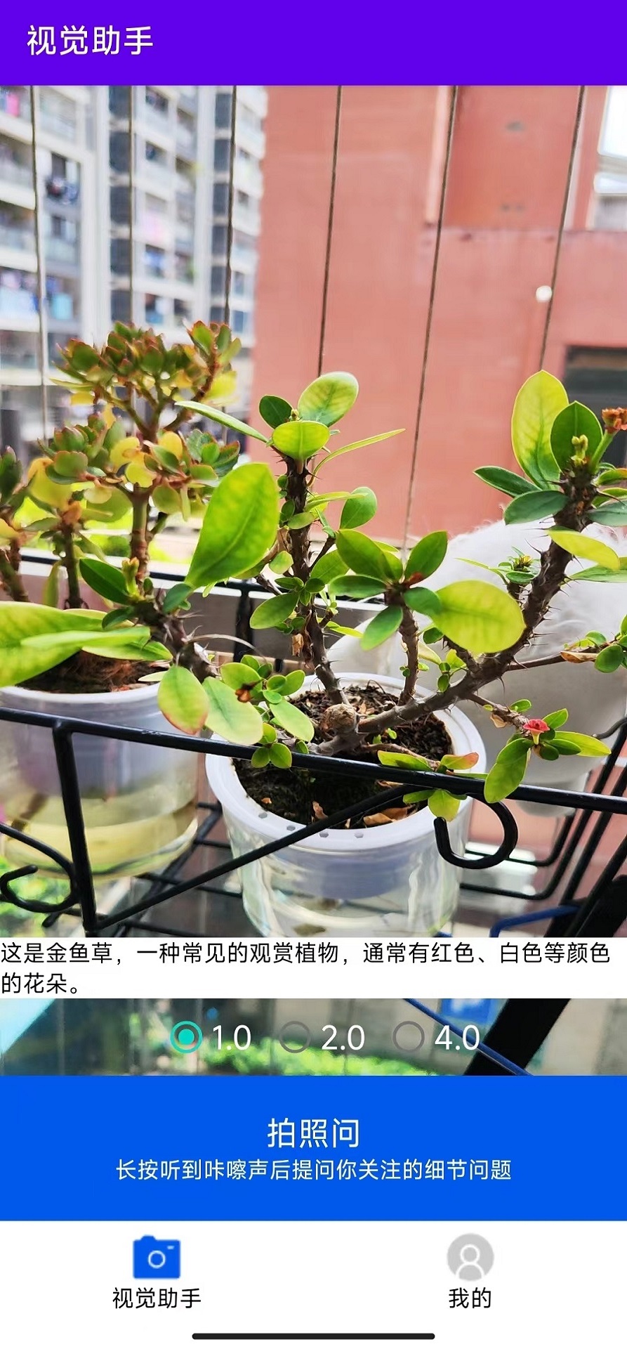 精彩截图-视觉助手2026官方新版