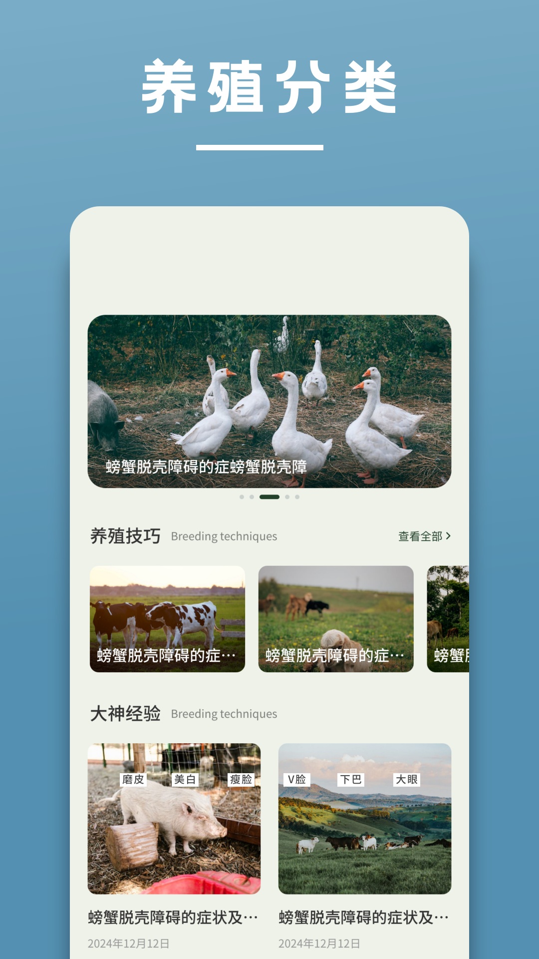 精彩截图-阳光养猪场2026官方新版