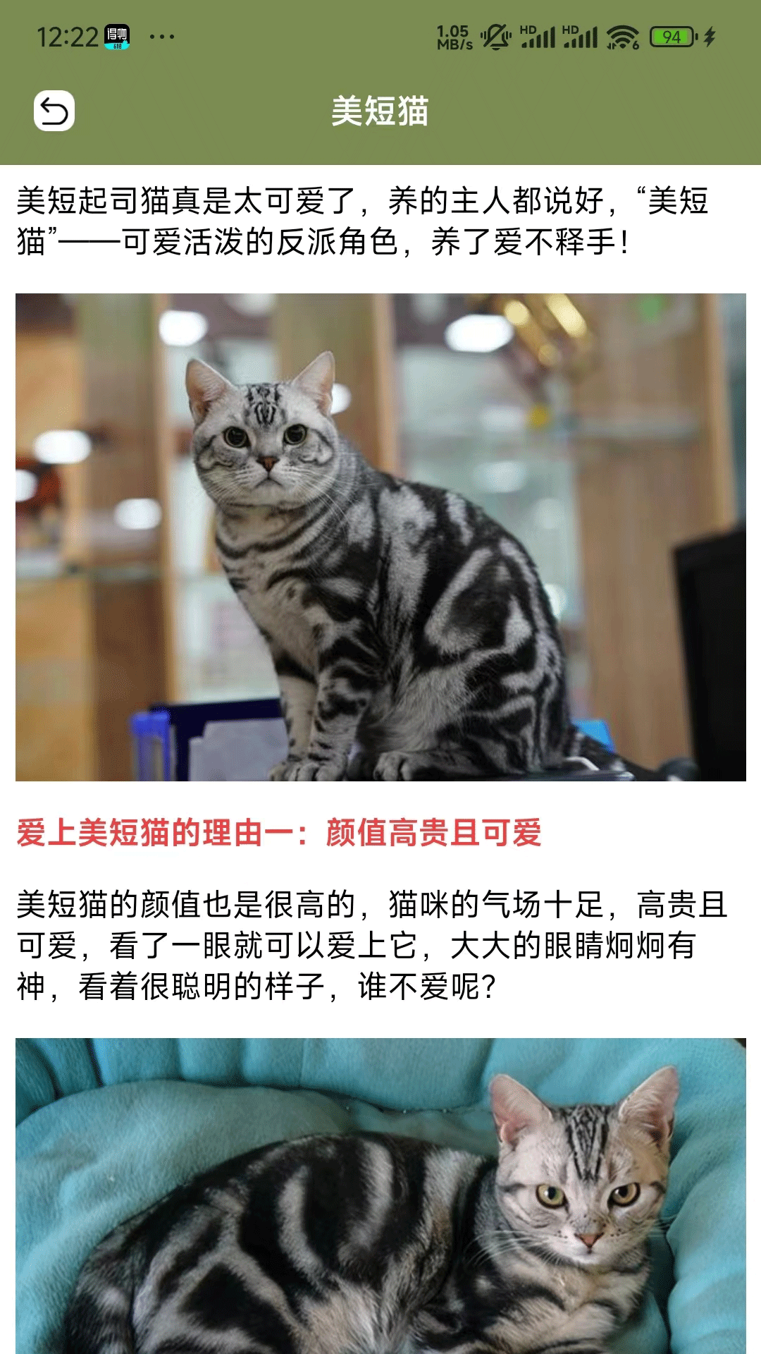 精彩截图-爱游猫助手2026官方新版