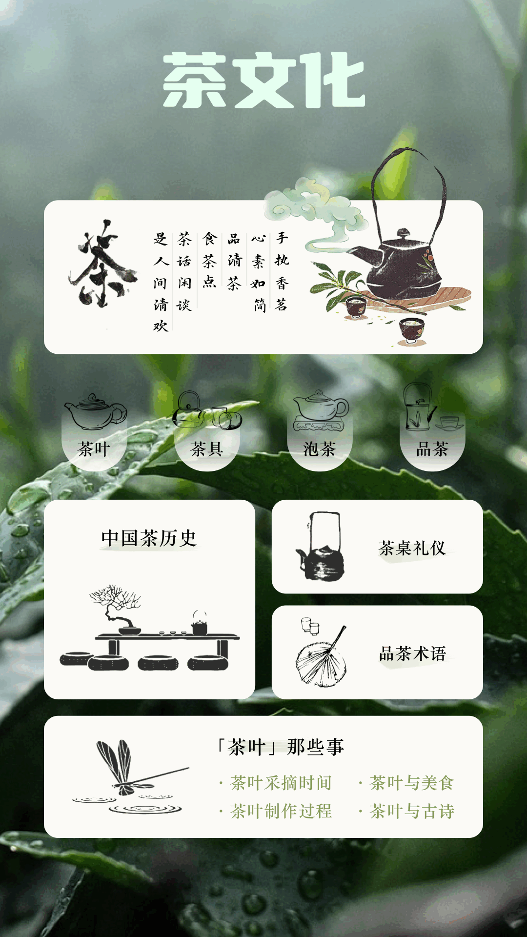 悠悠茶园安卓版高清截图