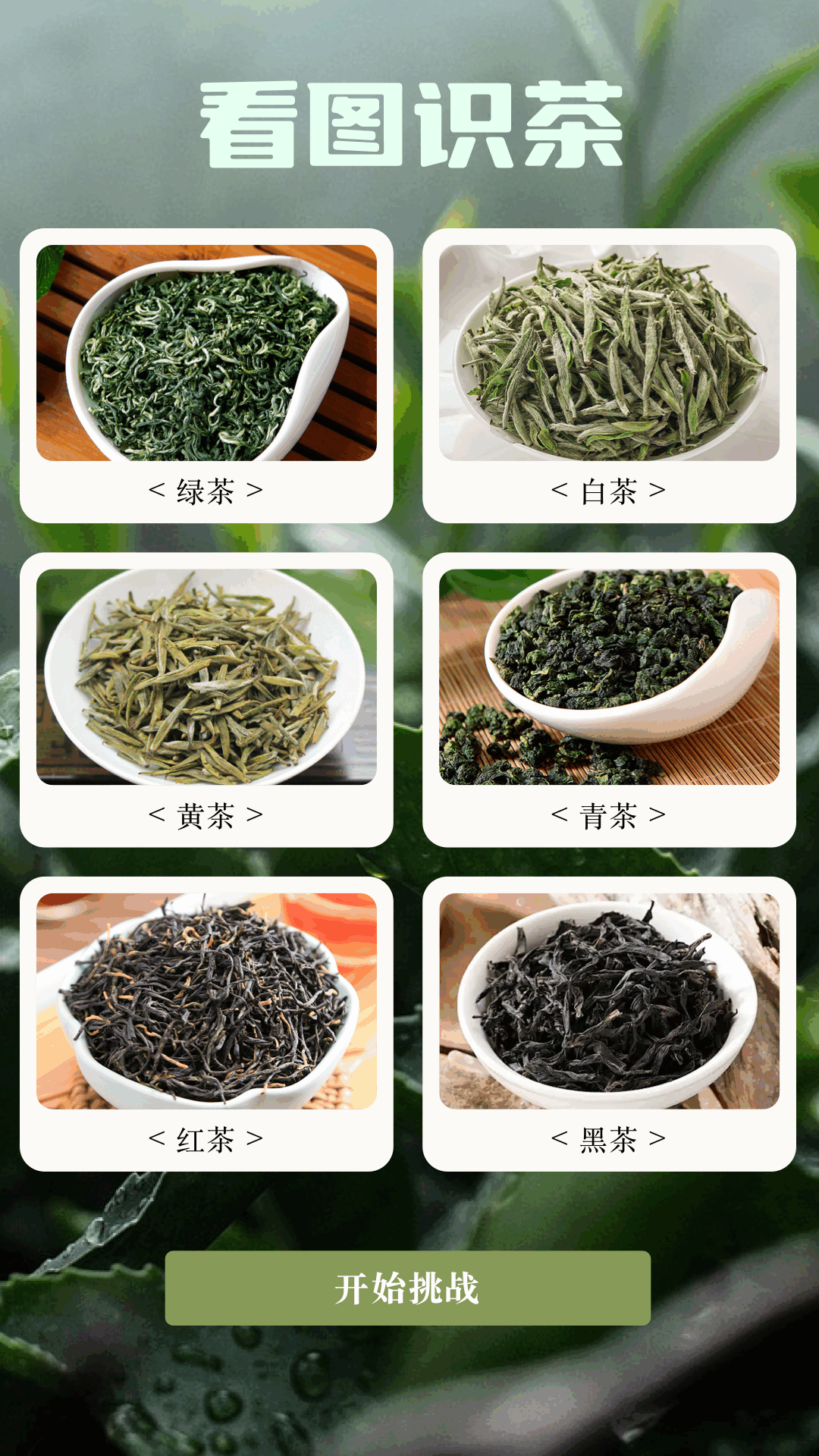悠悠茶园安卓版高清截图