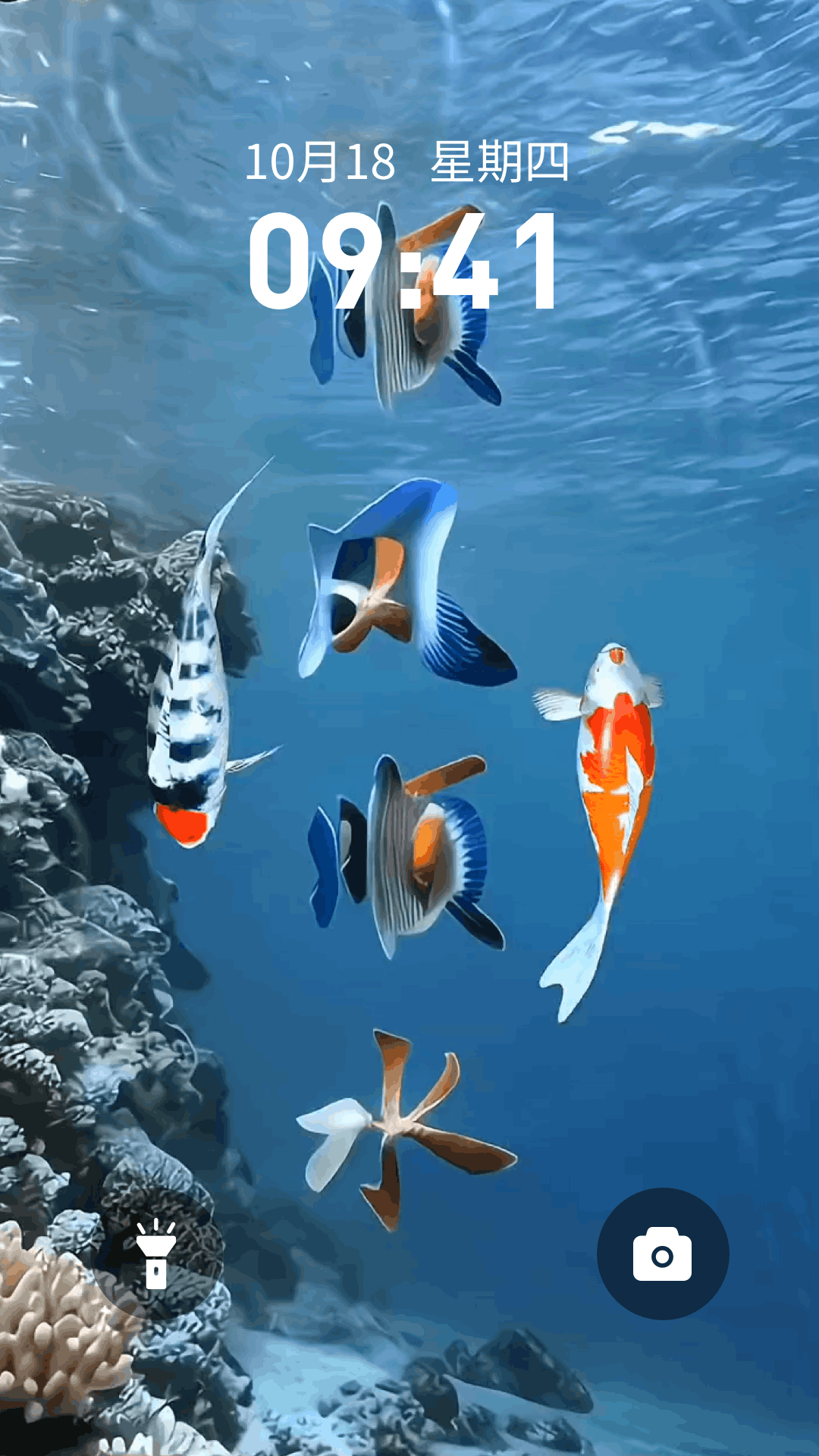 精彩截图-桌面养鱼壁纸2026官方新版