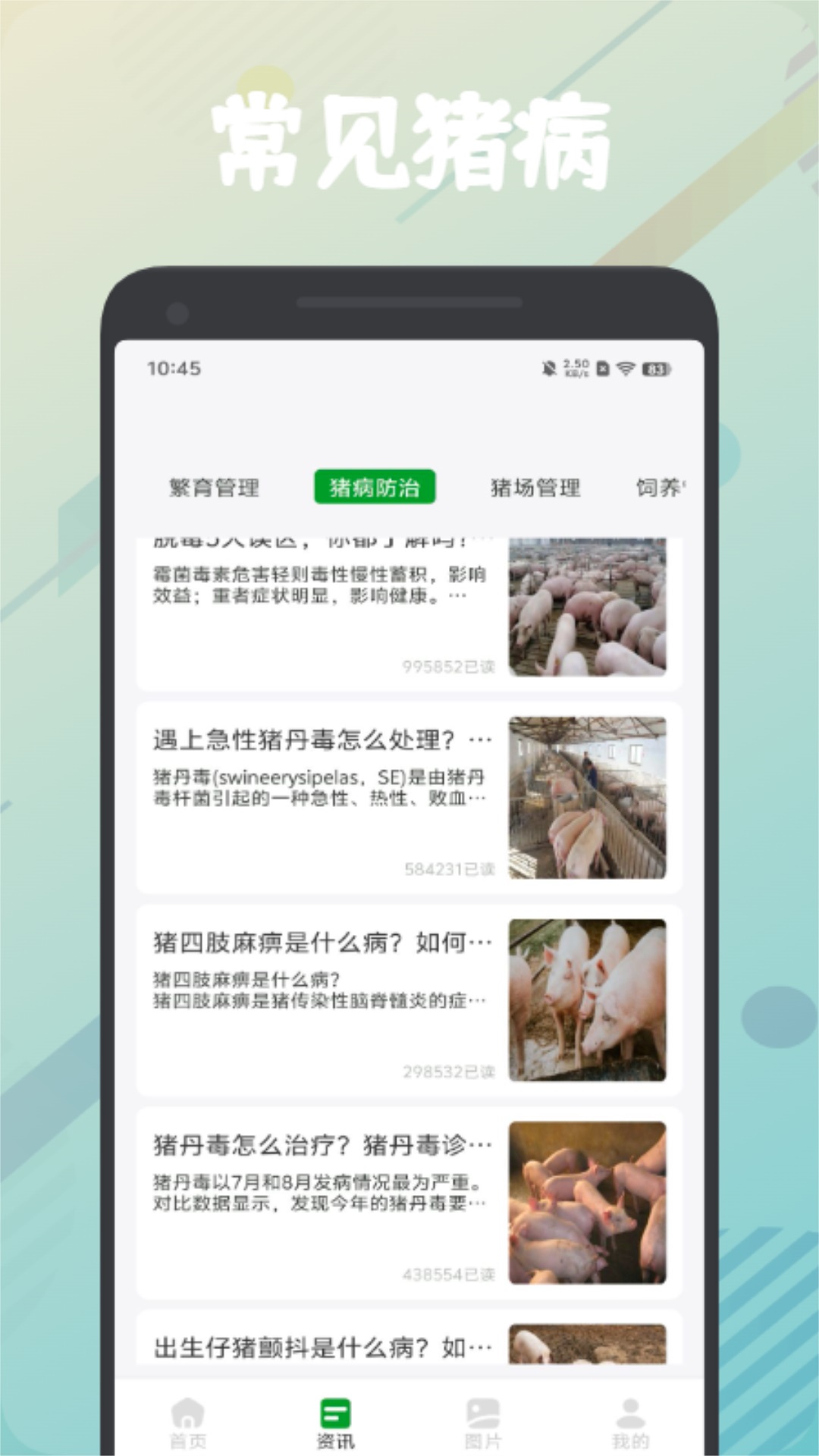 精彩截图-田园养猪场2026官方新版