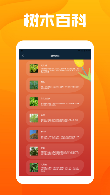 精彩截图-花语卷识别2026官方新版