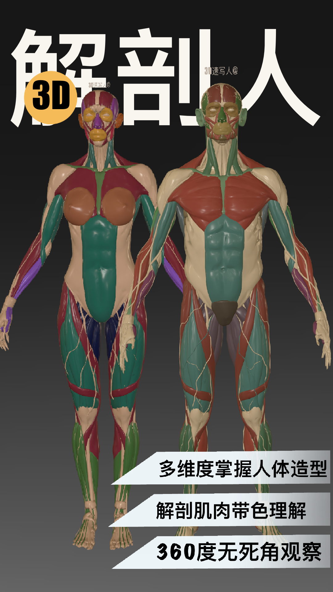 精彩截图-3D速写2025官方新版