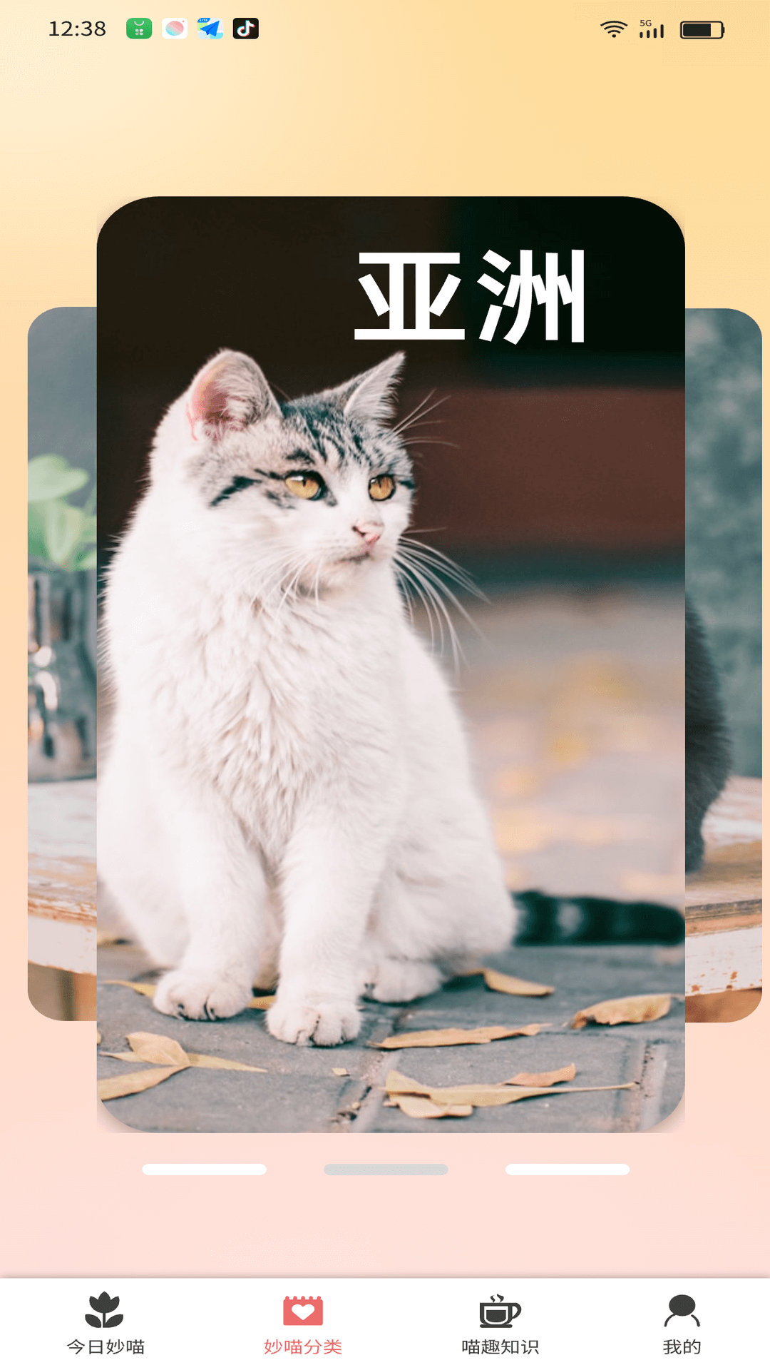 精彩截图-妙喵乐看2025官方新版