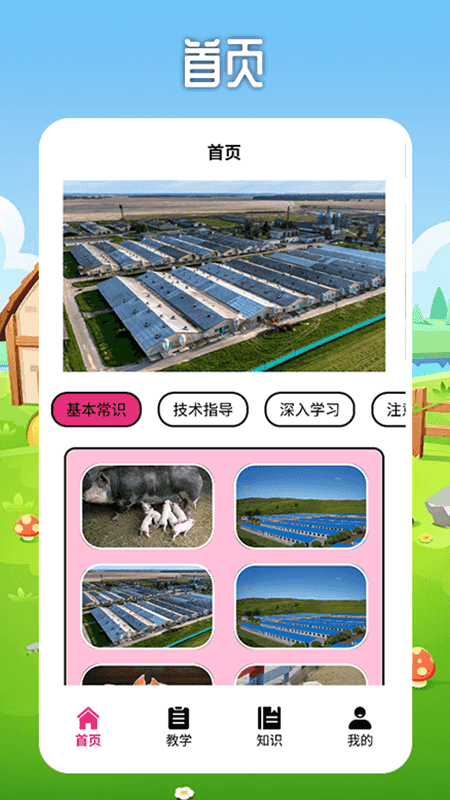 精彩截图-小小养殖猪场2025官方新版