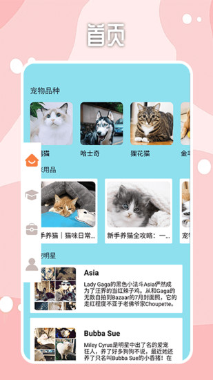 精彩截图-密聊猫2024官方新版