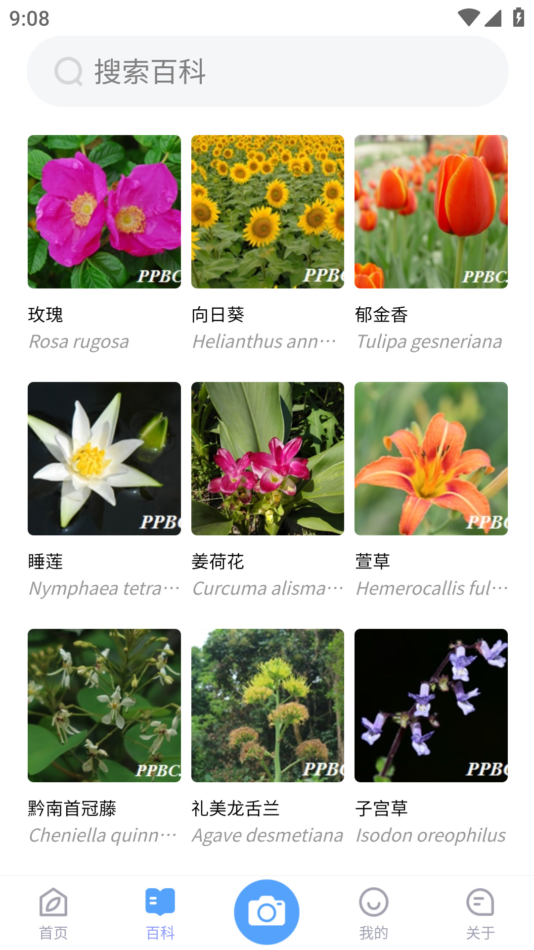 精彩截图-花伴侣专业版2025官方新版