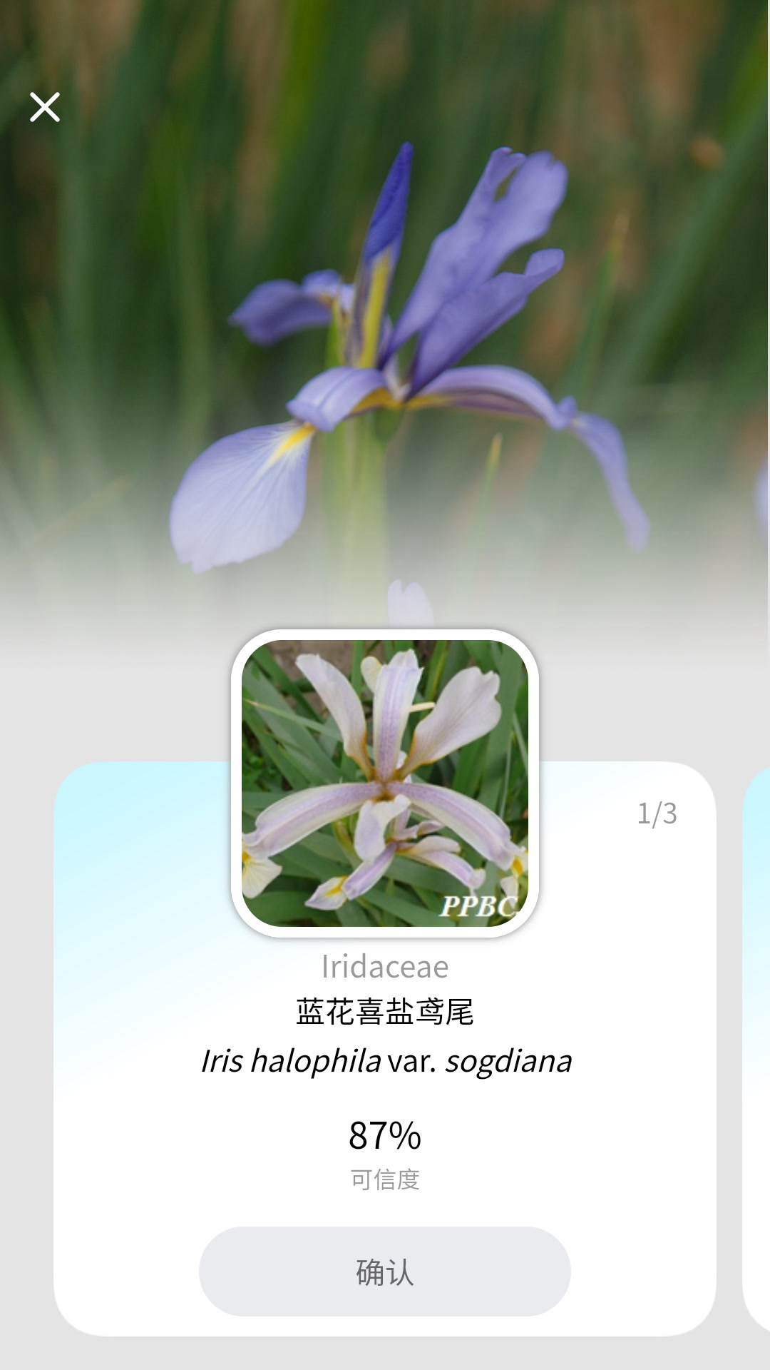 精彩截图-花伴侣专业版2025官方新版