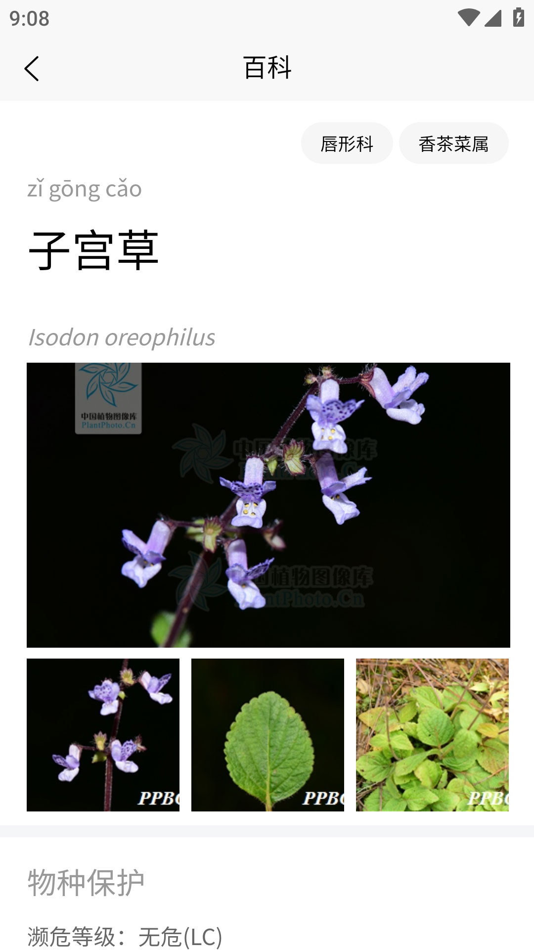 精彩截图-花伴侣专业版2026官方新版