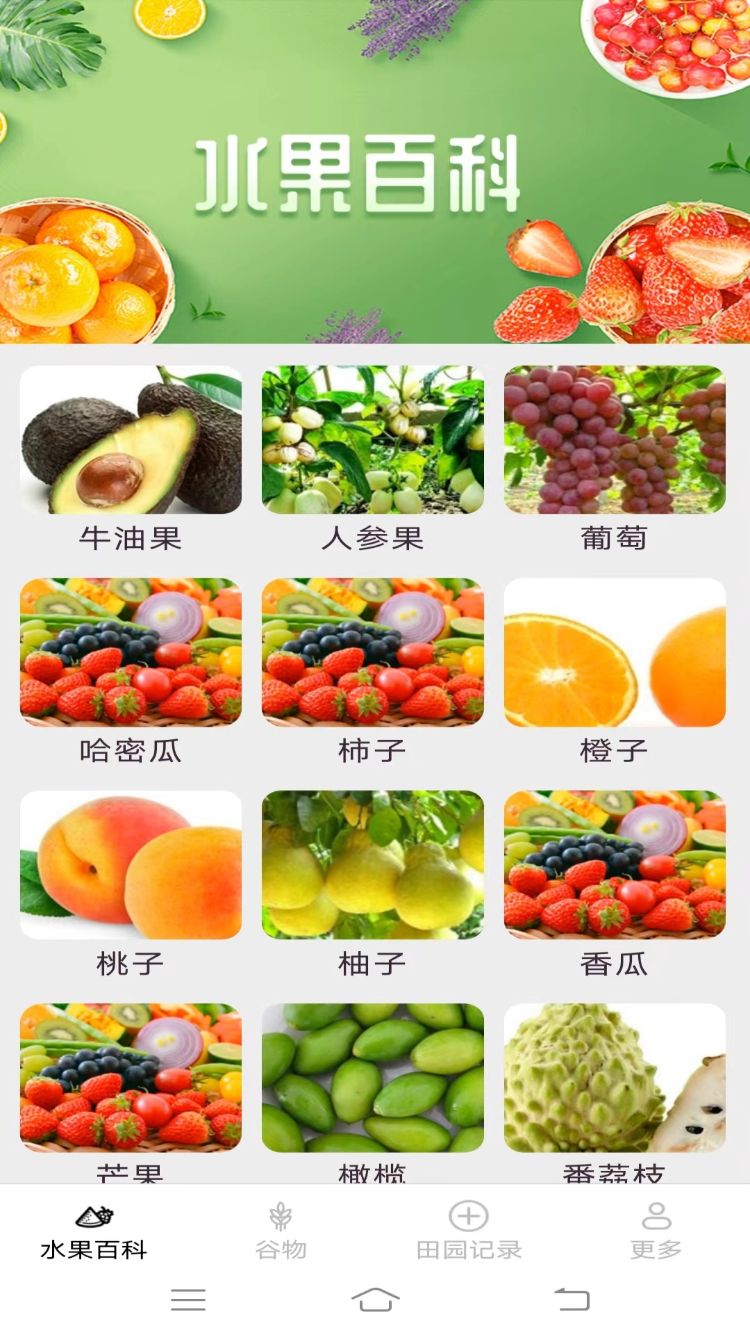 精彩截图-掌上果果多2026官方新版