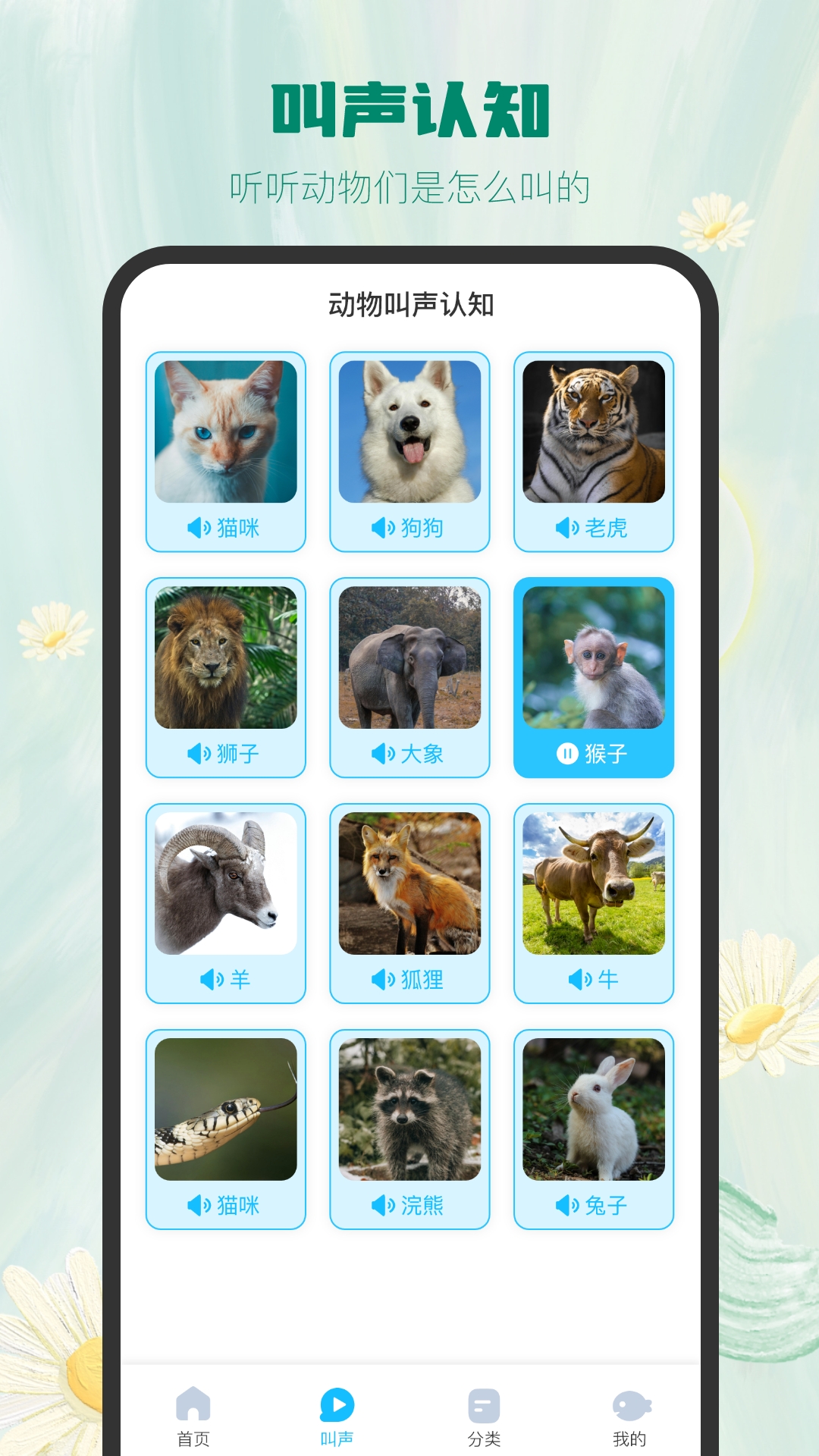 精彩截图-大鱼绘本故事2026官方新版