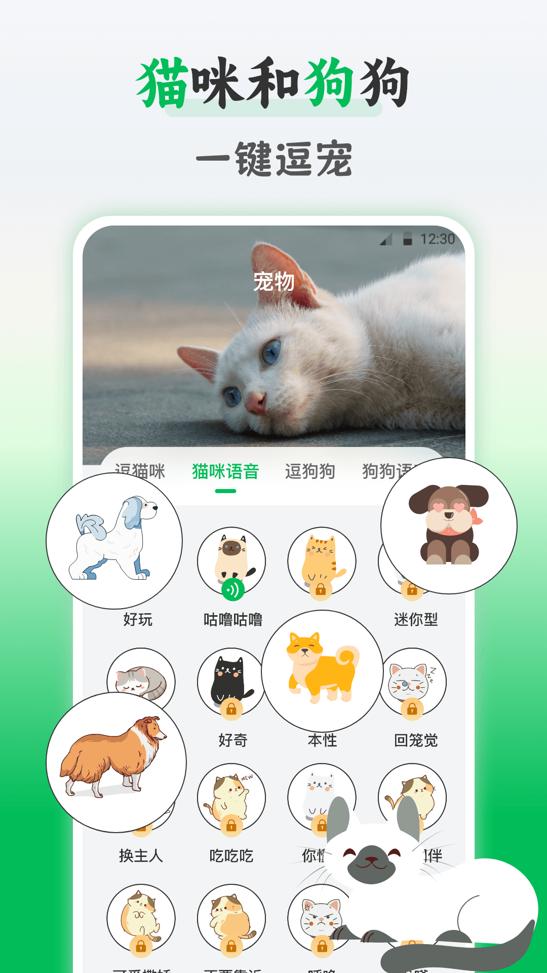 精彩截图-鸟语交流器2025官方新版