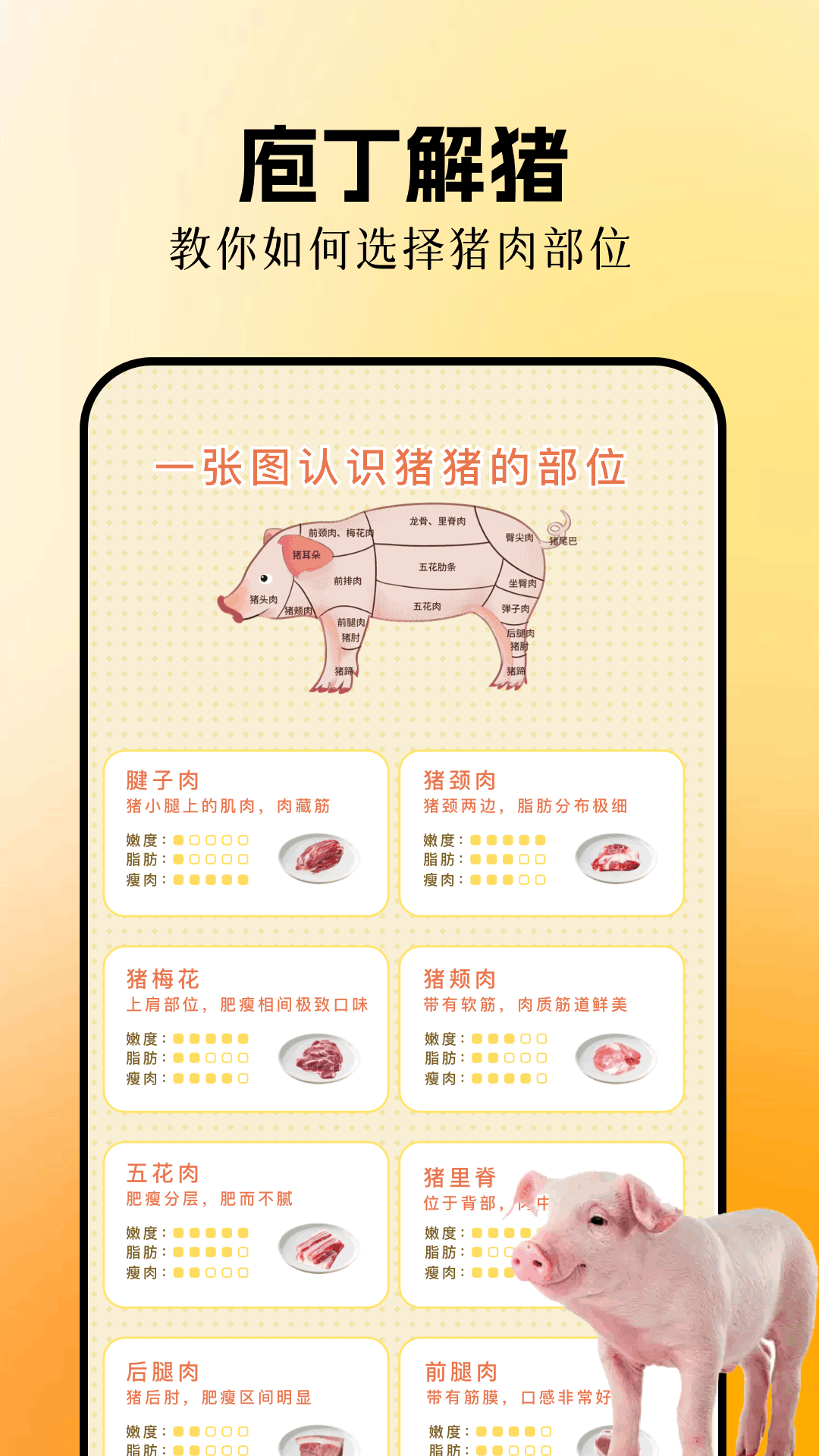 精彩截图-欢乐养猪场2026官方新版