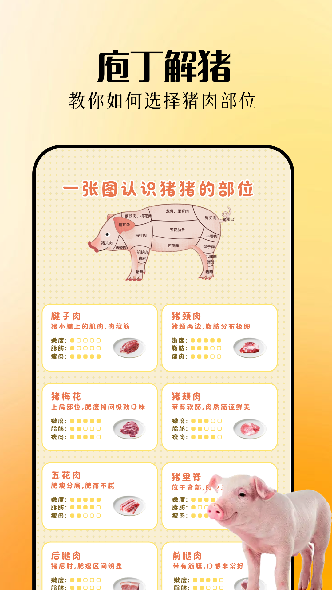 精彩截图-欢乐养猪场2026官方新版