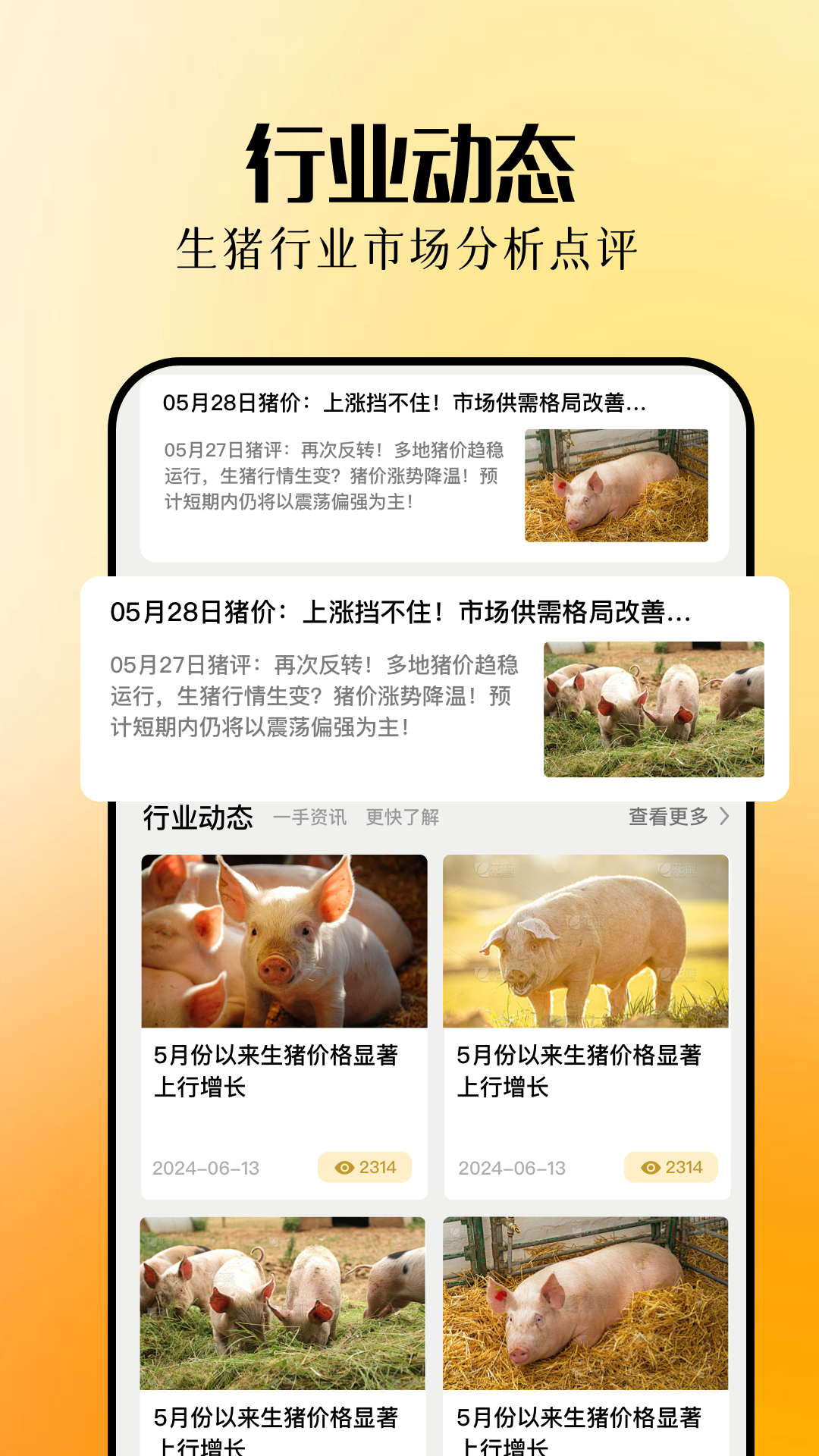 精彩截图-欢乐养猪场2026官方新版