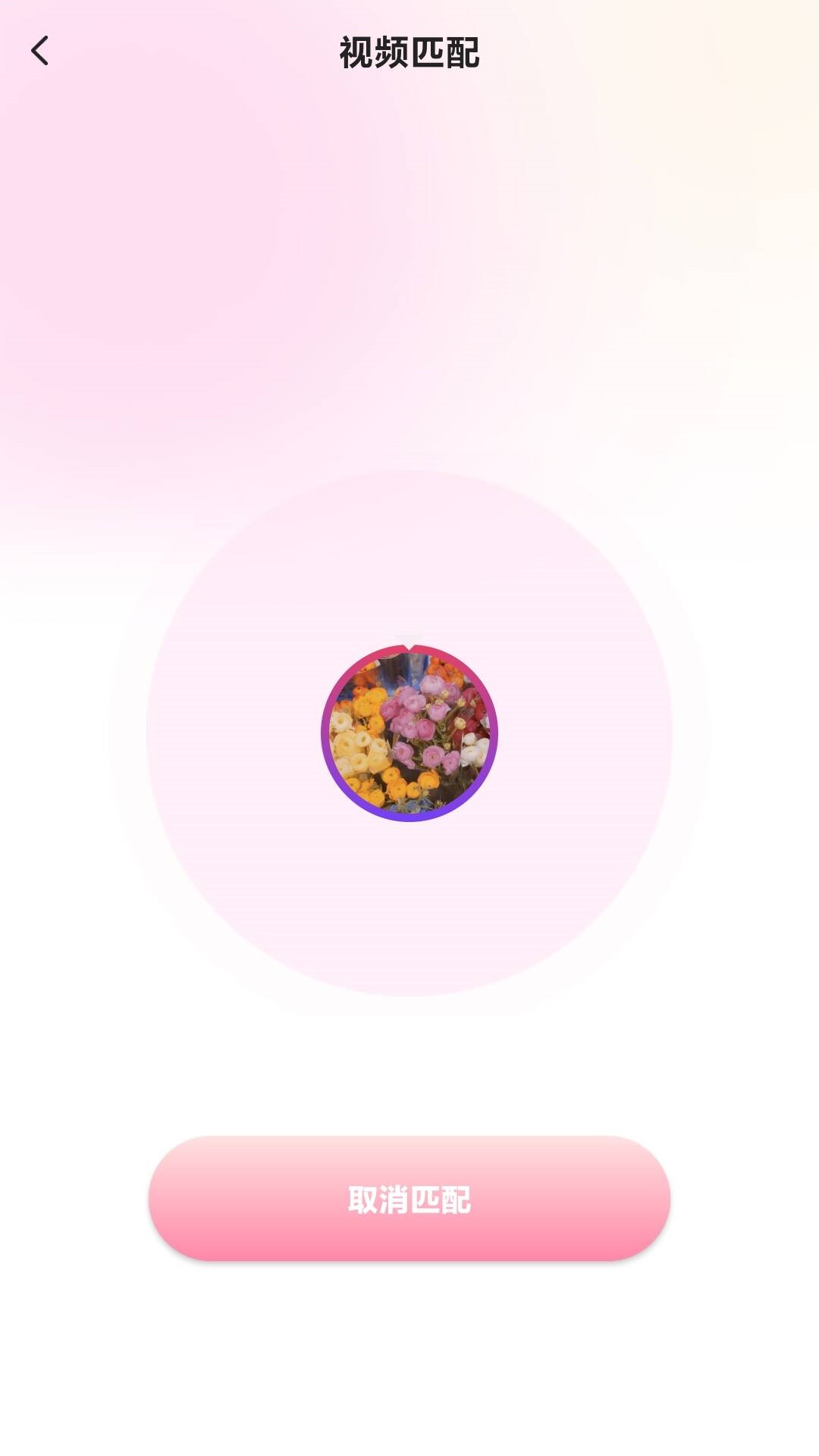 精彩截图-对象聊天交友2026官方新版