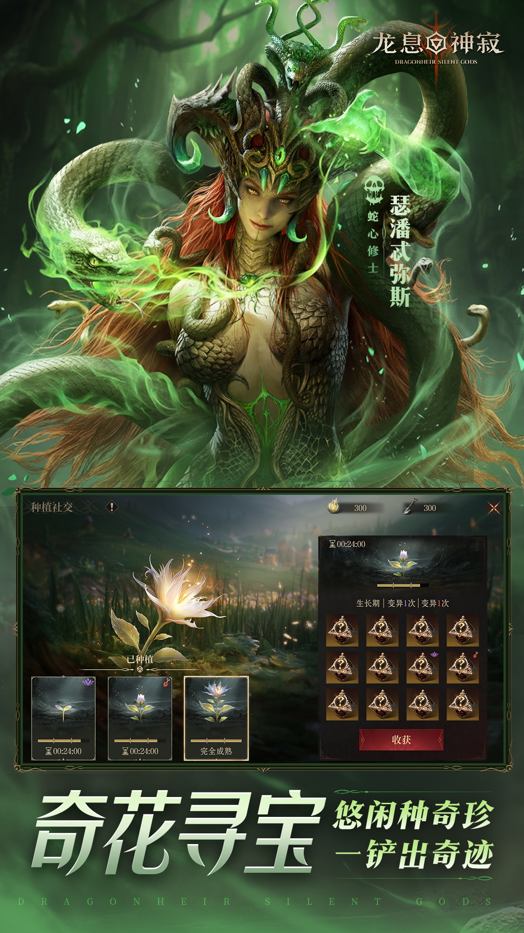 精彩截图-龙息：神寂2026官方新版