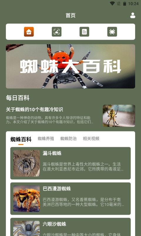 精彩截图-蜘蛛大玩家百科2026官方新版