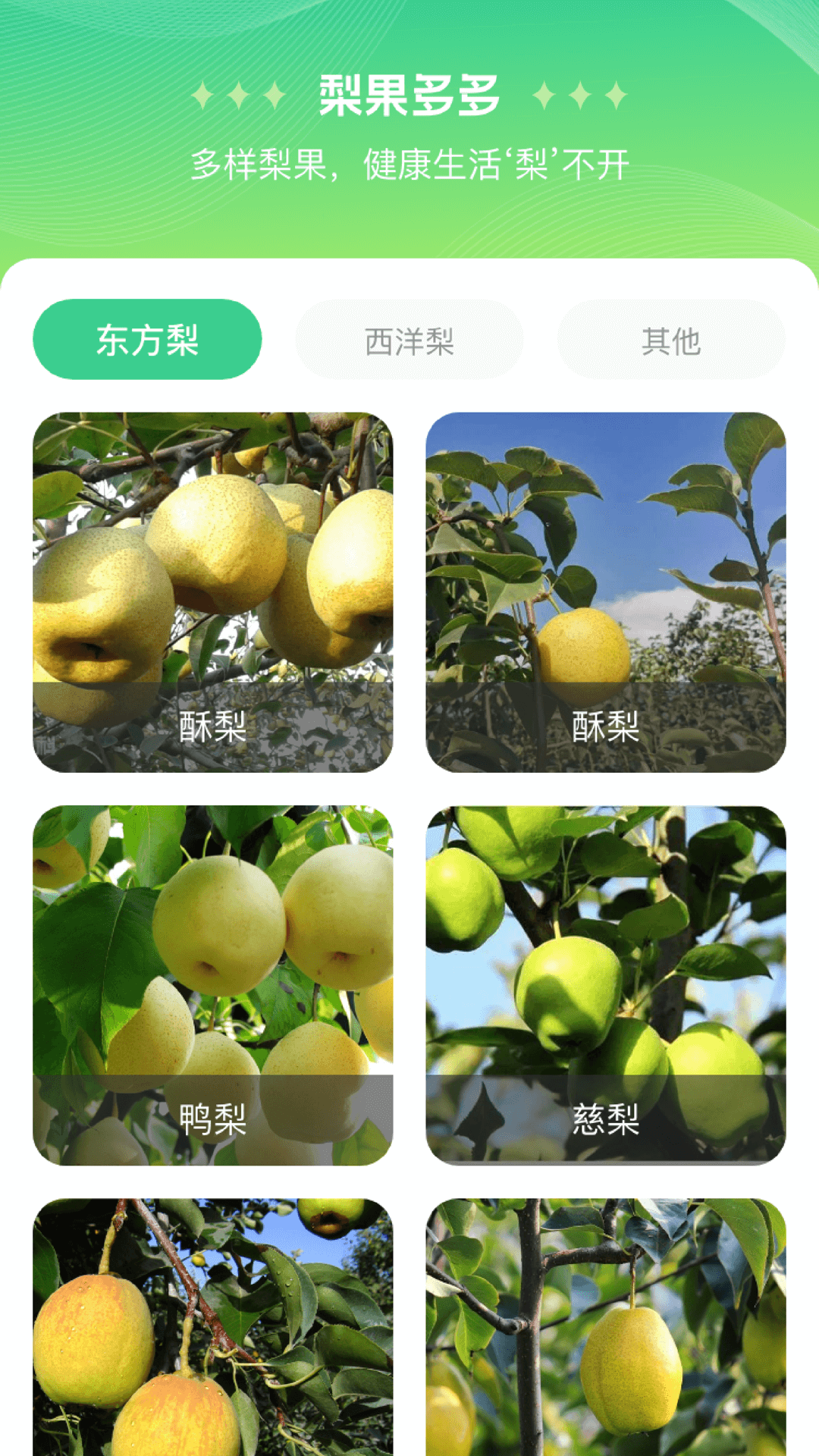 精彩截图-梨多点2026官方新版