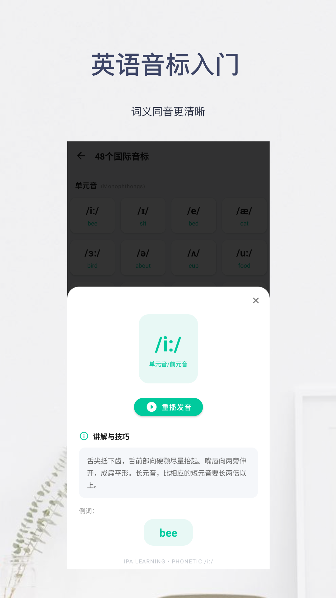 精彩截图-英语音标入门2026官方新版