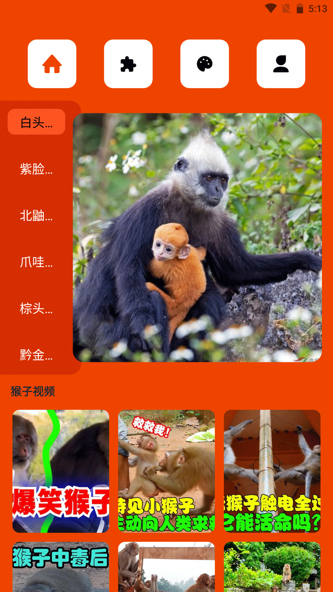 精彩截图-悟空玩乐园2025官方新版