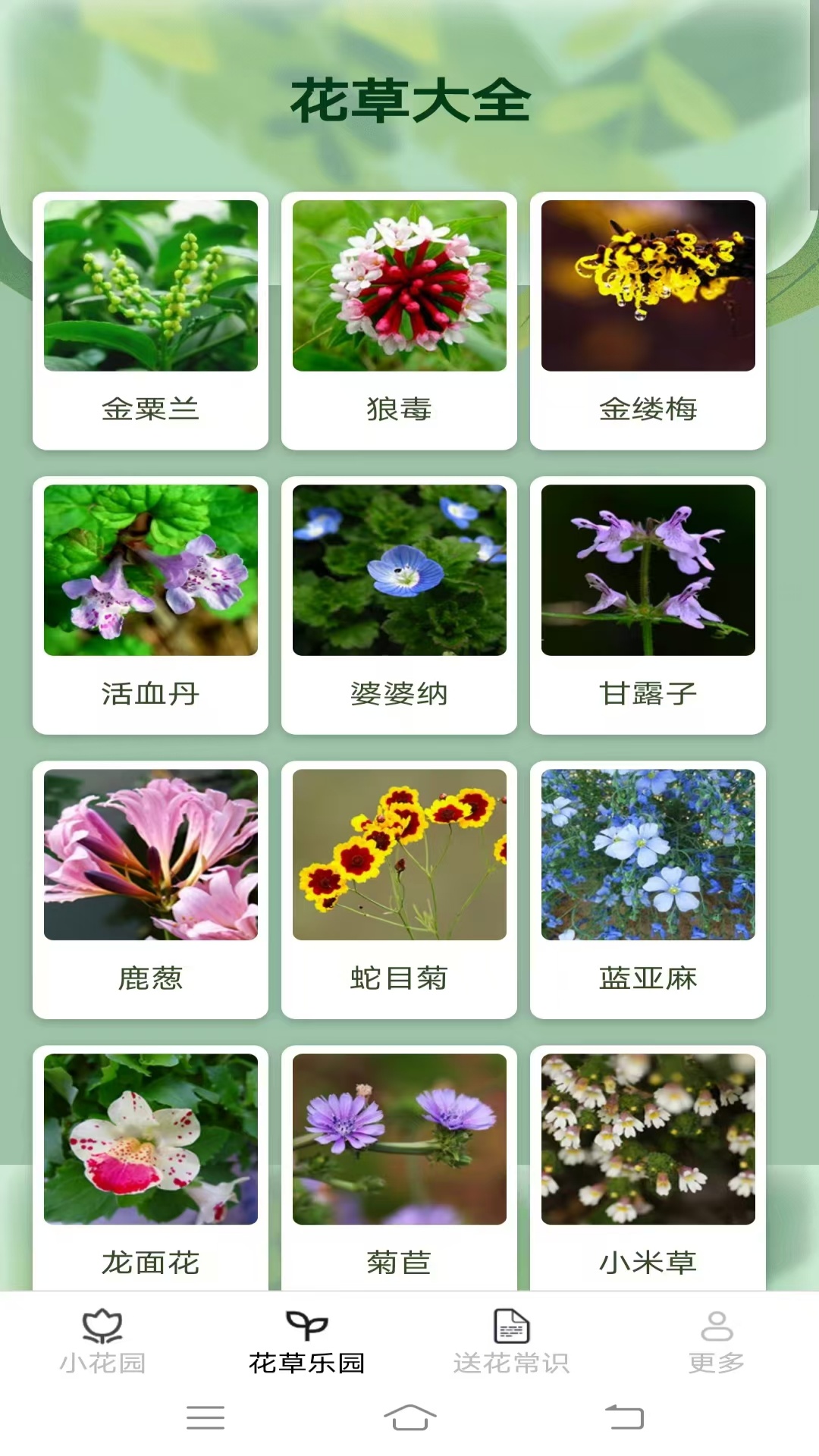 花草乐园 截图 3