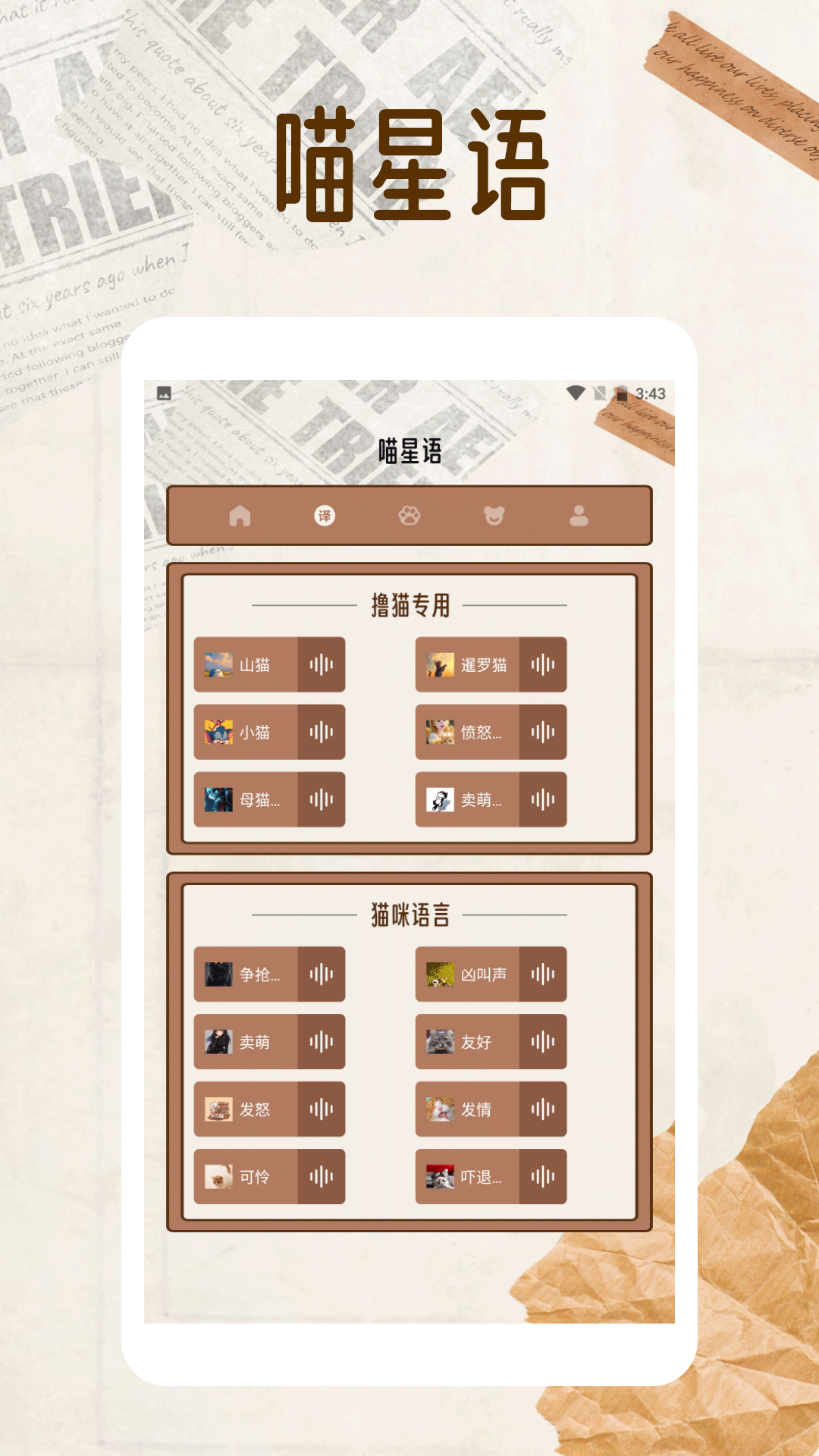 精彩截图-纸萌猫翻译乐园2025官方新版