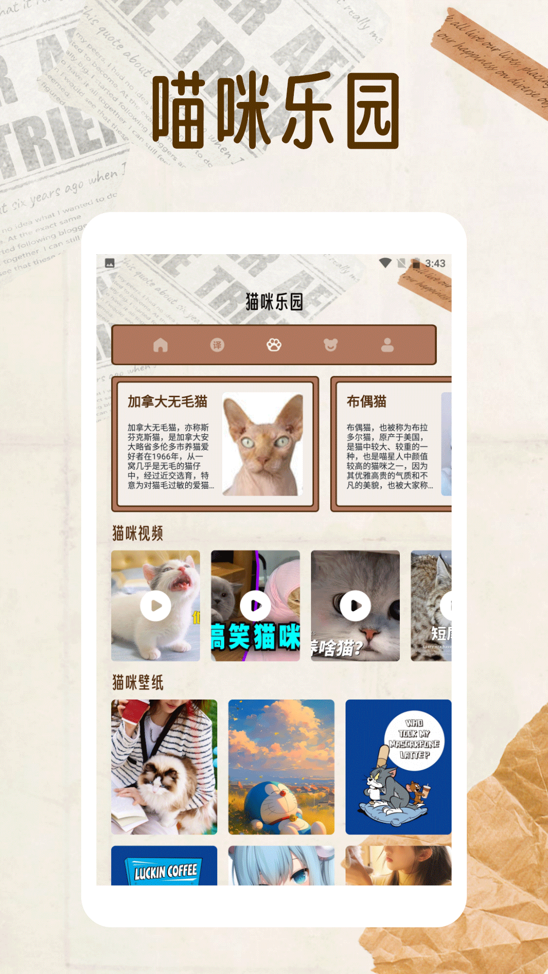 精彩截图-纸萌猫翻译乐园2025官方新版
