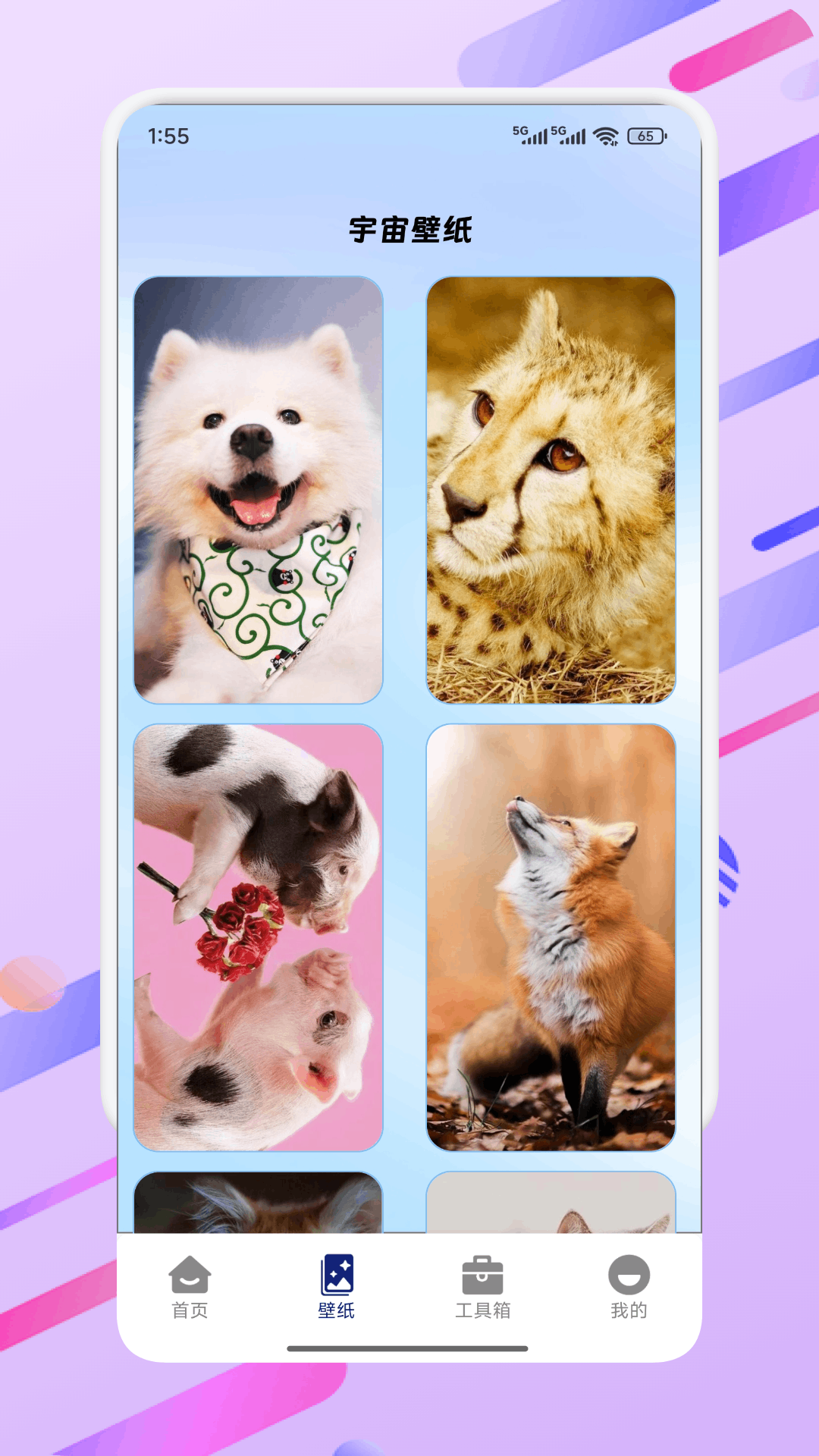 精彩截图-初阳工具箱2025官方新版