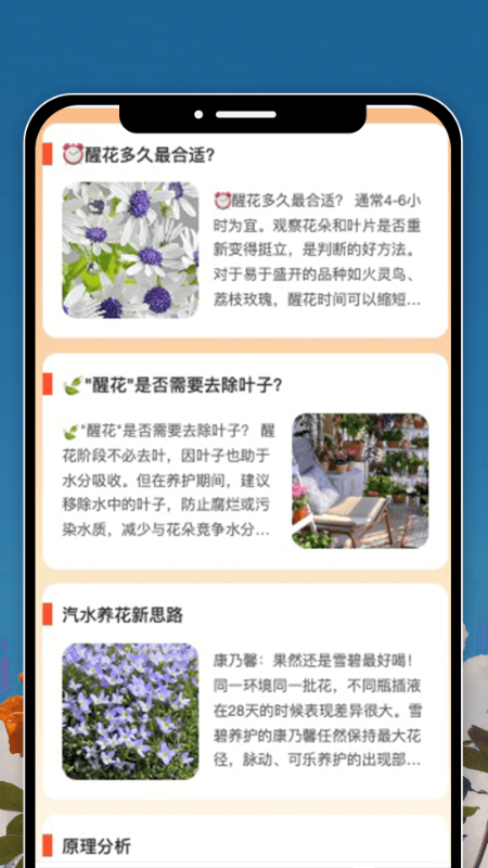 花恋时刻 截图 4