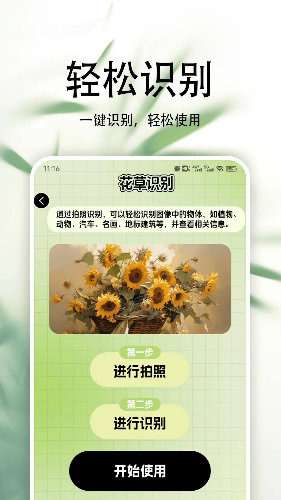 种子搜索神器torrentkitty(种子搜索神器torrentkitty最新版本)