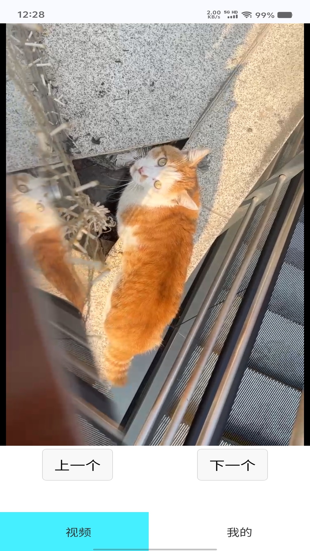 精彩截图-易玩红包队2025官方新版