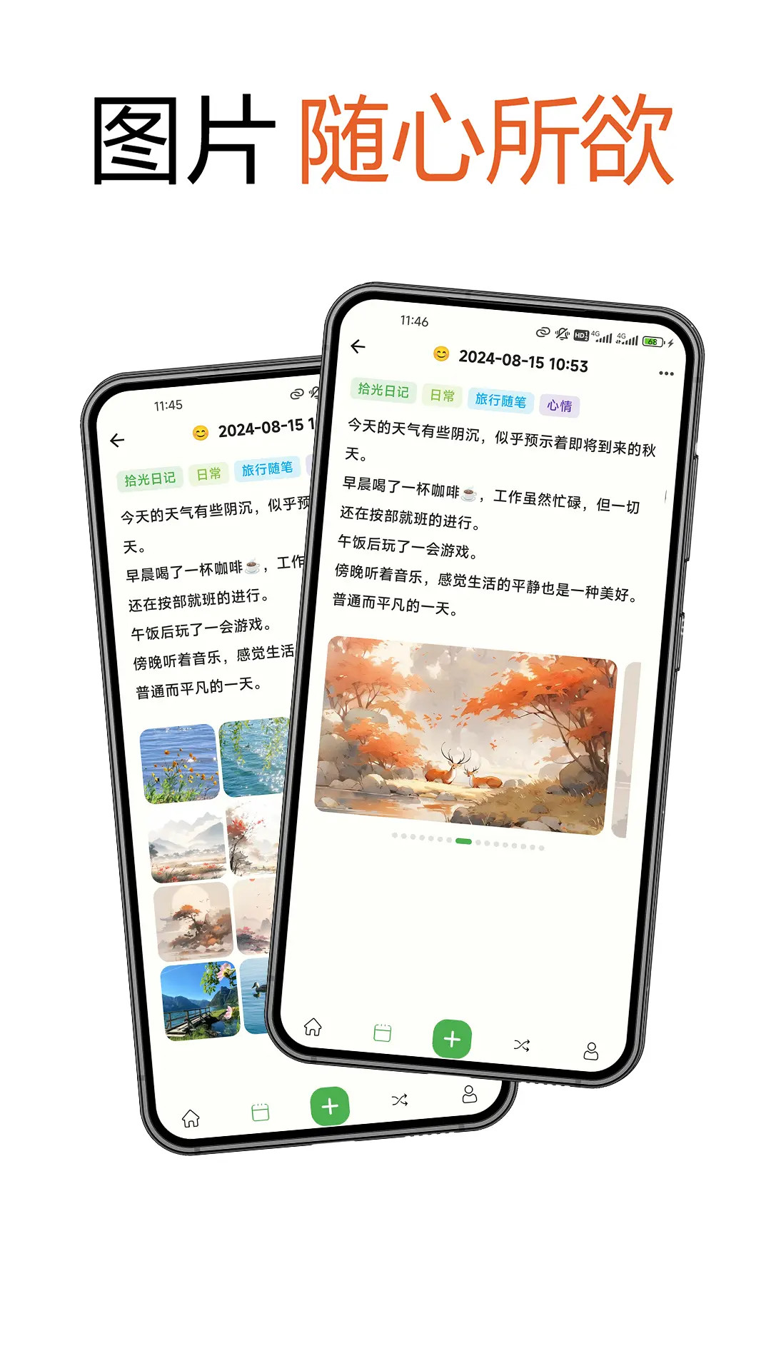 点击查看大图