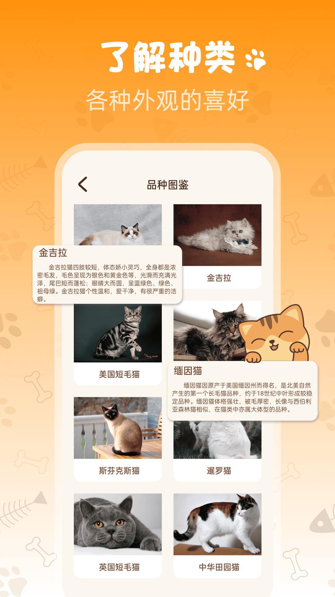 精彩截图-Peppycat宠物翻译器2025官方新版