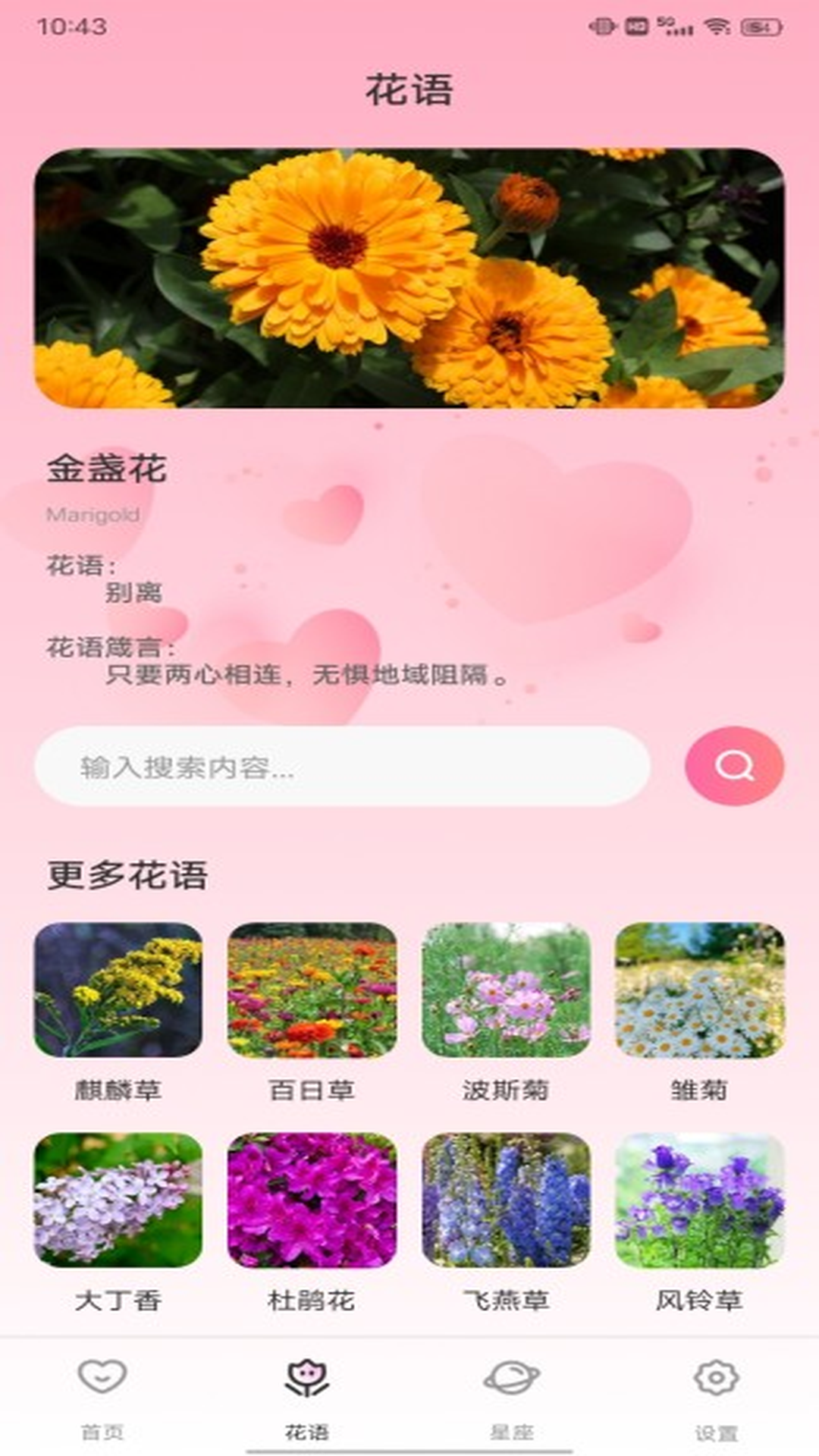 精彩截图-小星空2026官方新版