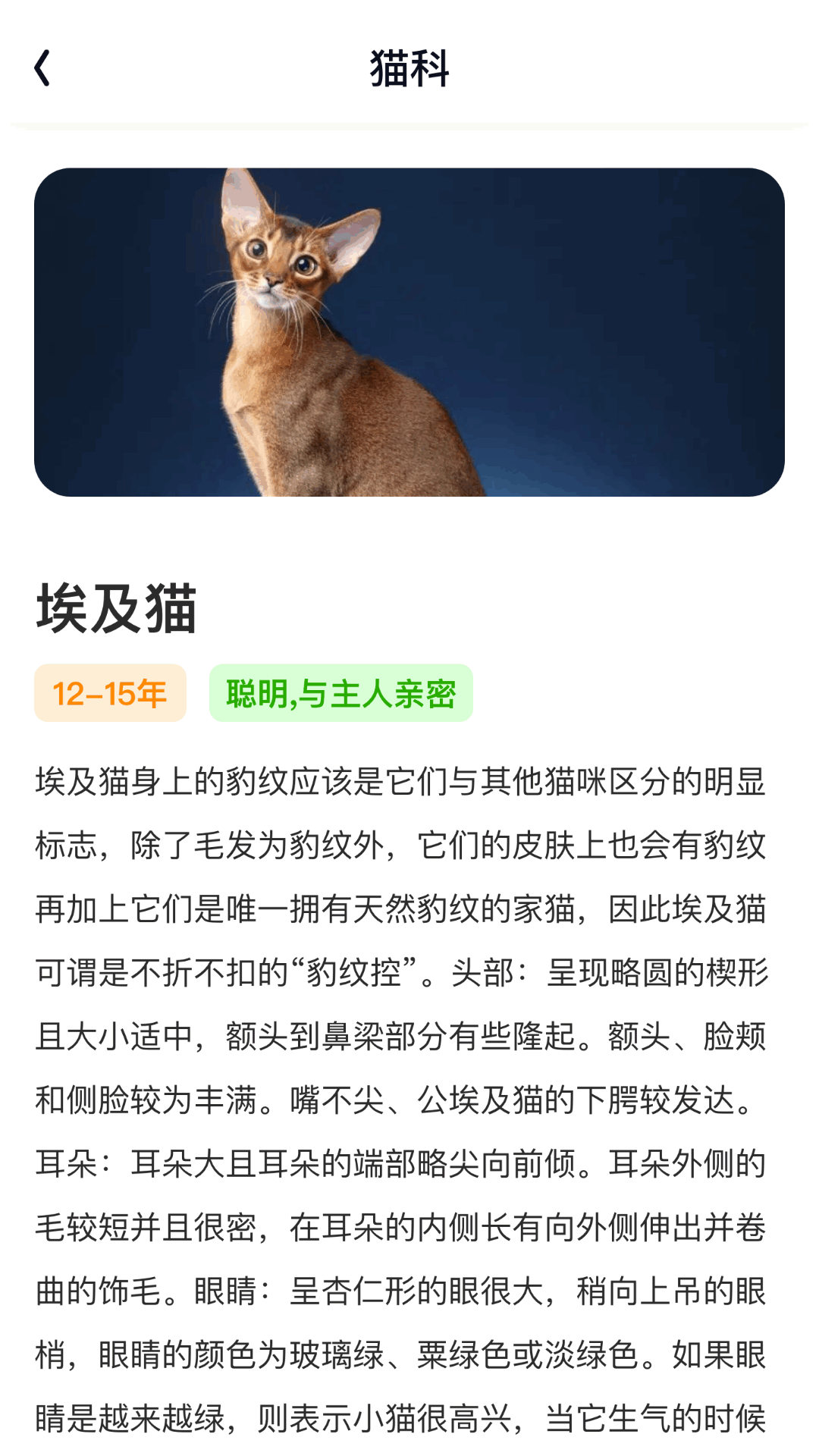 精彩截图-轻赏聚看2025官方新版
