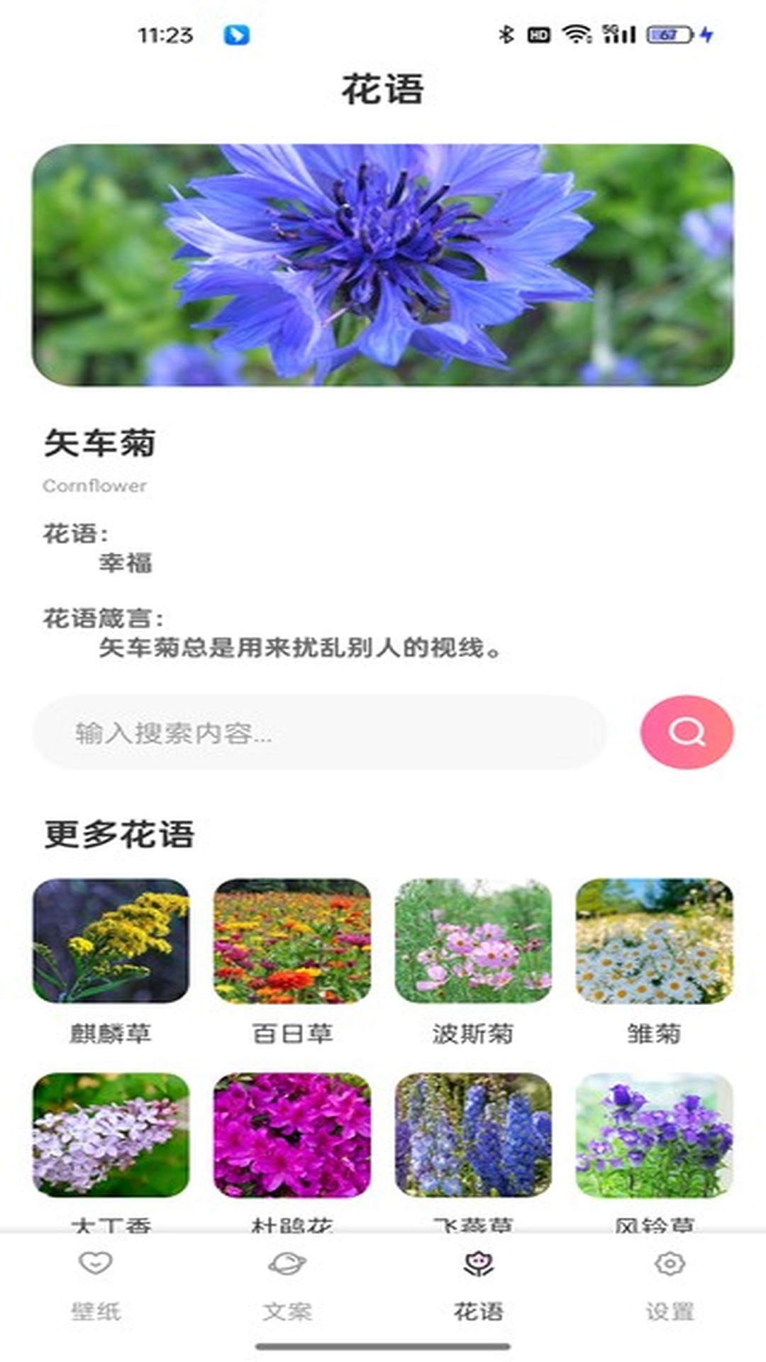 精彩截图-傲娇壁纸2026官方新版